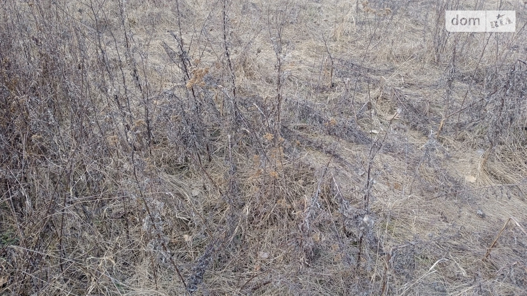 Продается земельный участок 10 соток в Винницкой области, цена: 12000 $ - фото 2