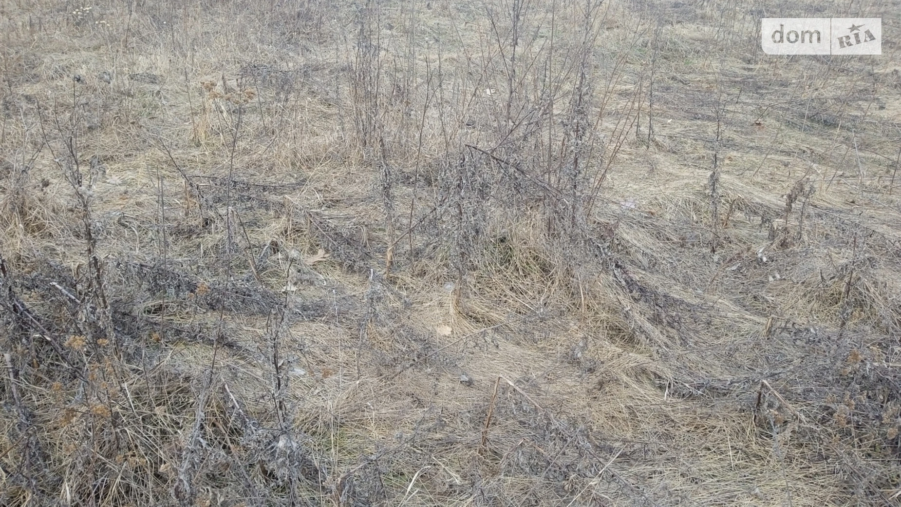Продается земельный участок 10 соток в Винницкой области, цена: 12000 $ - фото 3