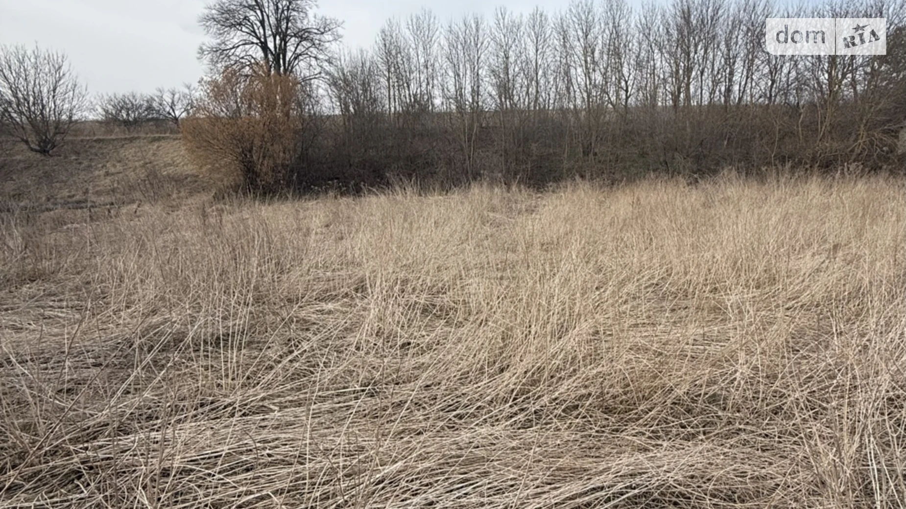 Продается земельный участок 22 соток в Тернопольской области, цена: 21000 $ - фото 3