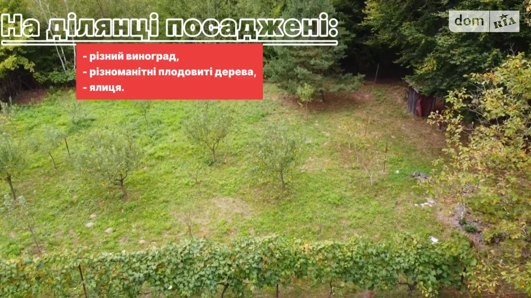 Продается земельный участок 8.6 соток в Закарпатской области, цена: 16000 $ - фото 4