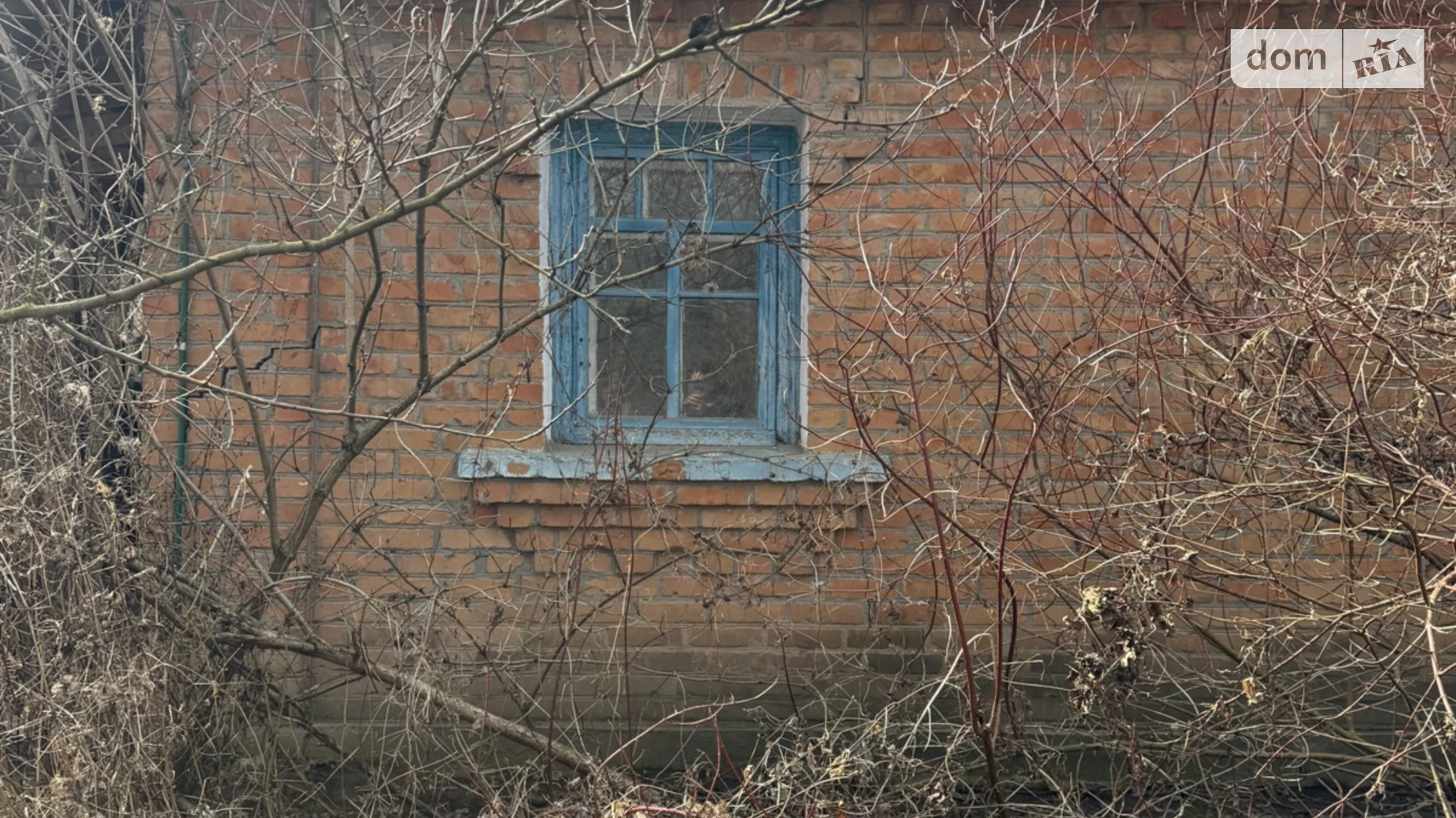 Продается одноэтажный дом 60 кв. м с садом, цена: 20000 $ - фото 3