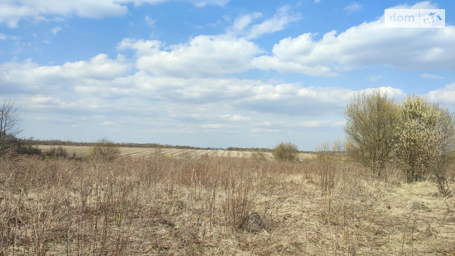 Зубра, цена: 75000 $ - фото 3