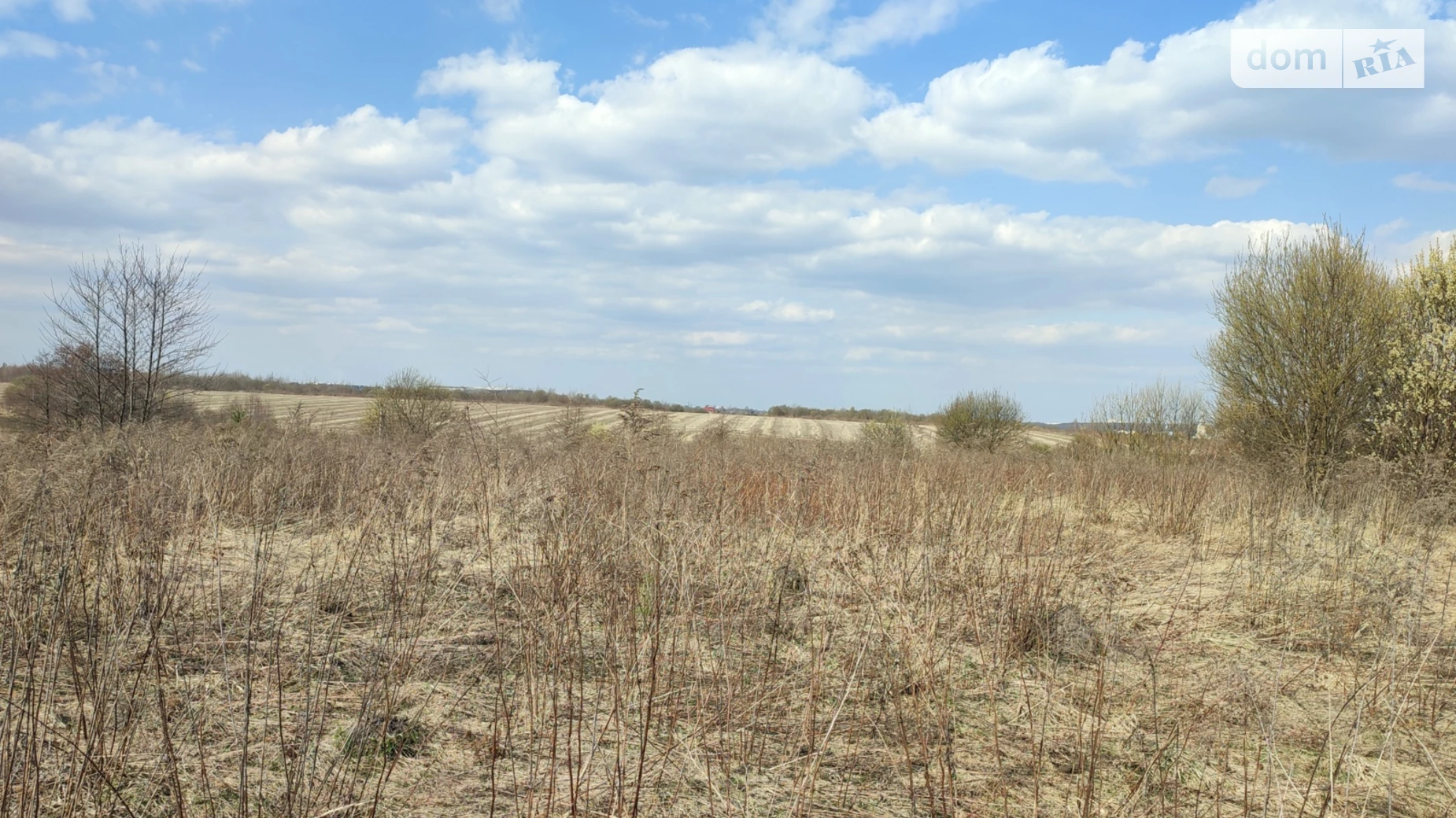 Зубра, цена: 75000 $ - фото 2