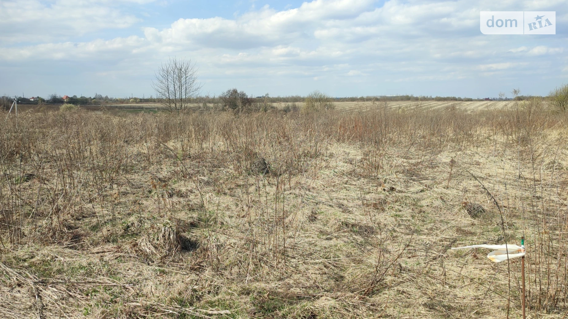 Зубра, цена: 75000 $ - фото 4