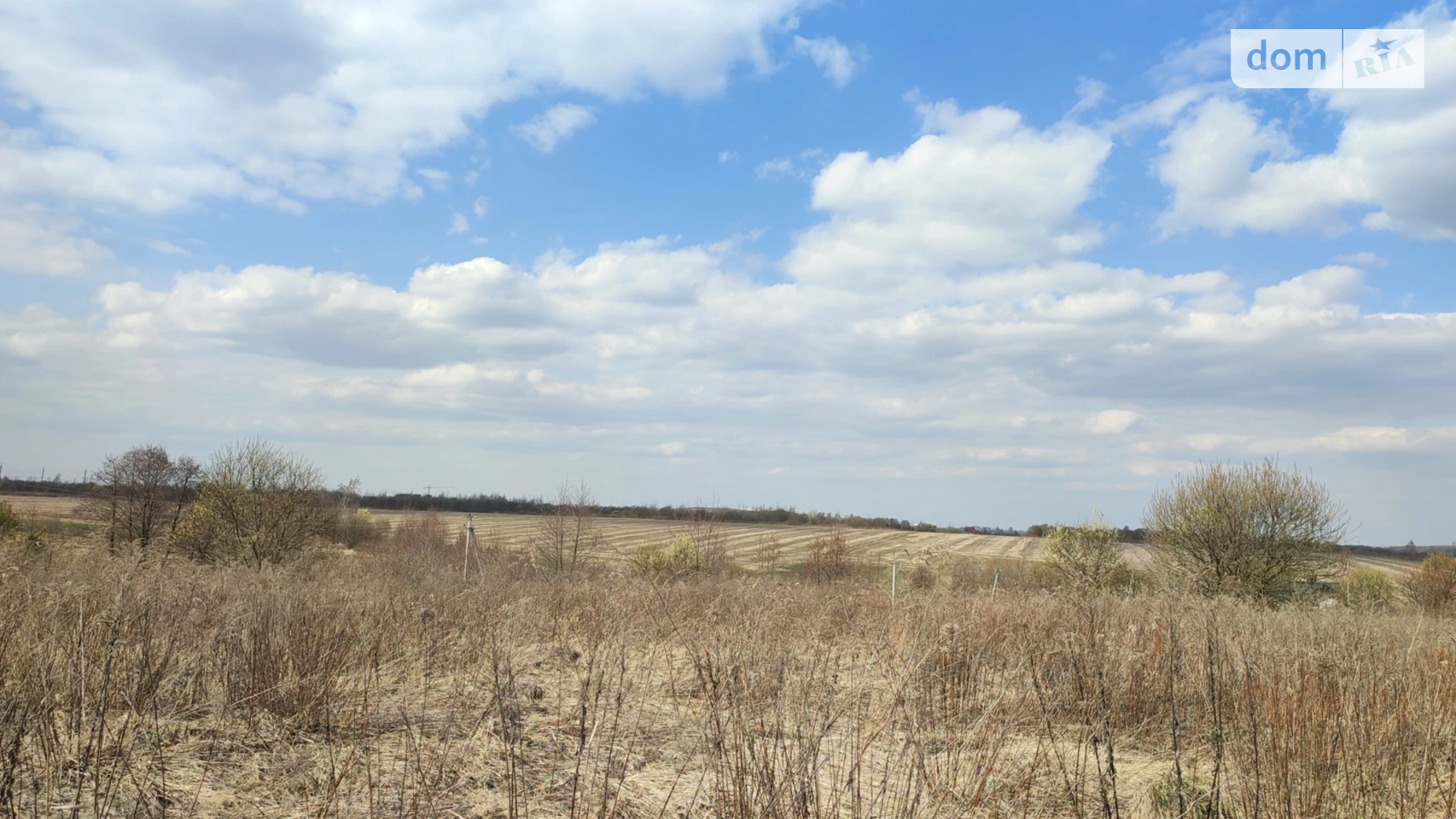 Зубра, цена: 75000 $ - фото 5