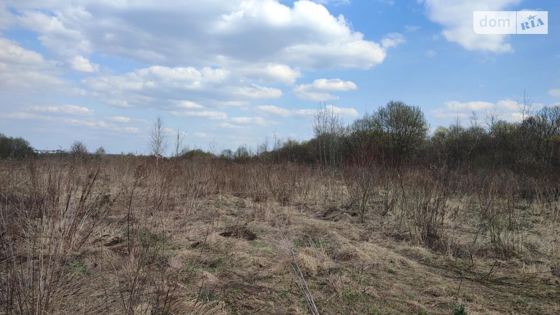 Зубра, цена: 43355 $ - фото 2