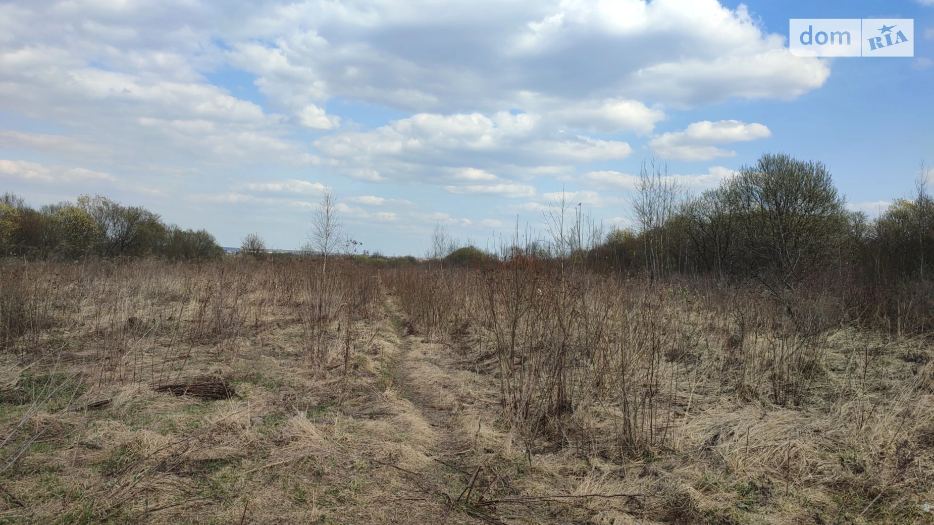 Зубра, цена: 43355 $ - фото 3