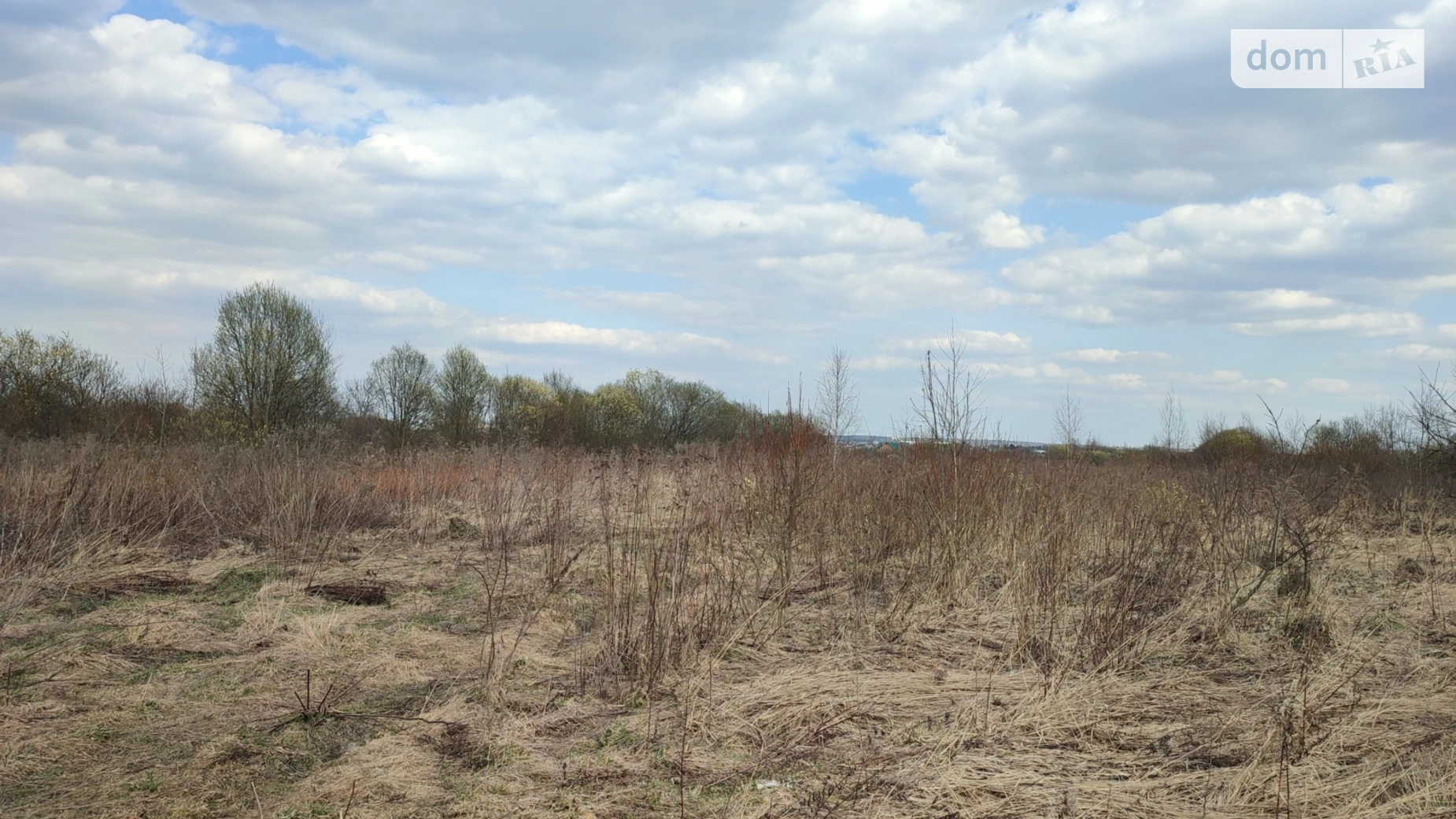 Зубра, цена: 43355 $ - фото 4