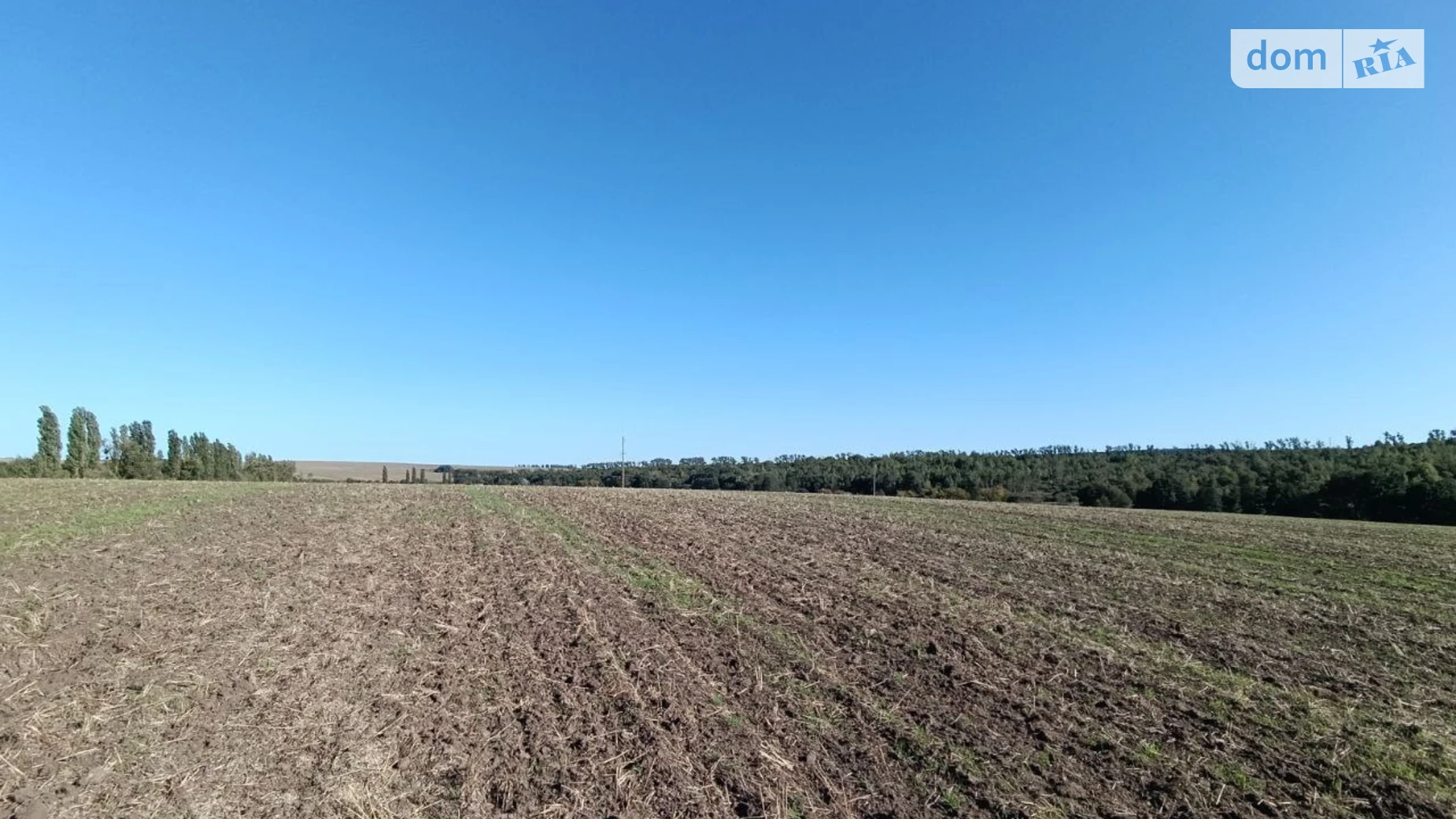 Продается земельный участок 10 соток в Хмельницкой области, цена: 4000 $ - фото 5