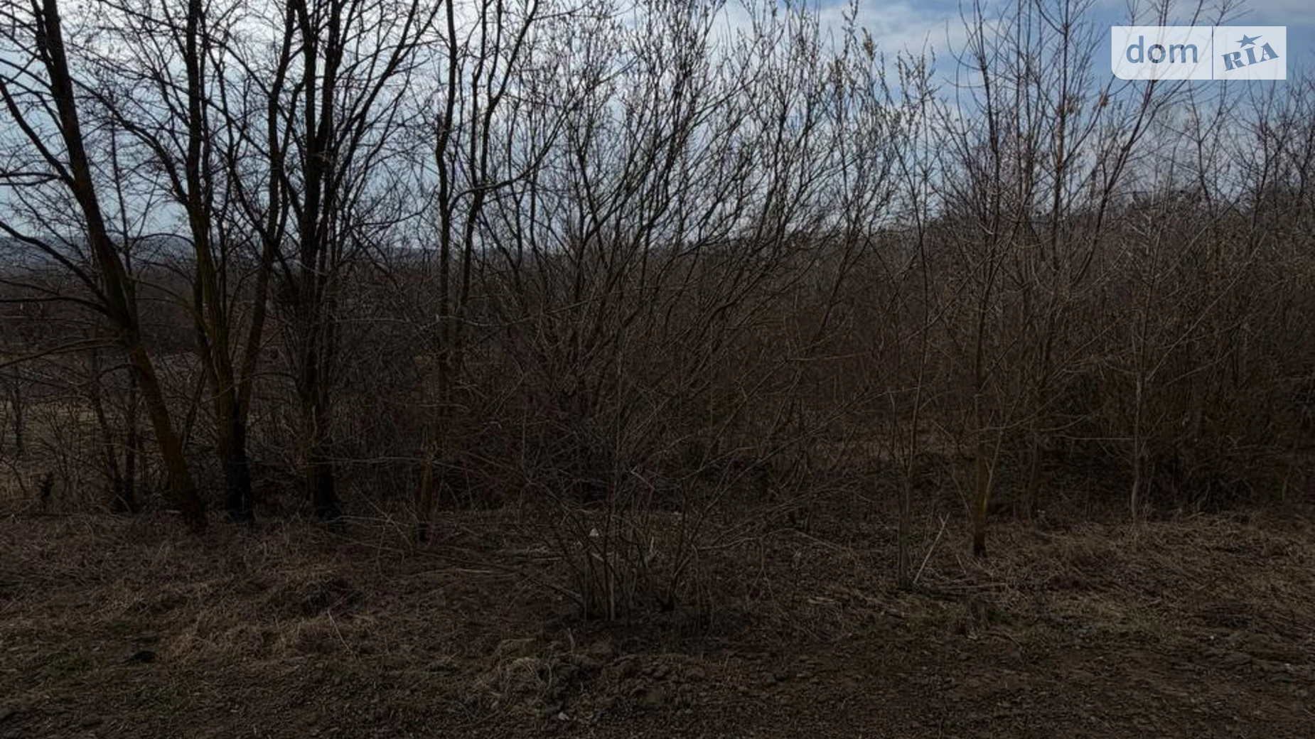 Продается земельный участок 25 соток в Хмельницкой области, цена: 42000 $ - фото 3