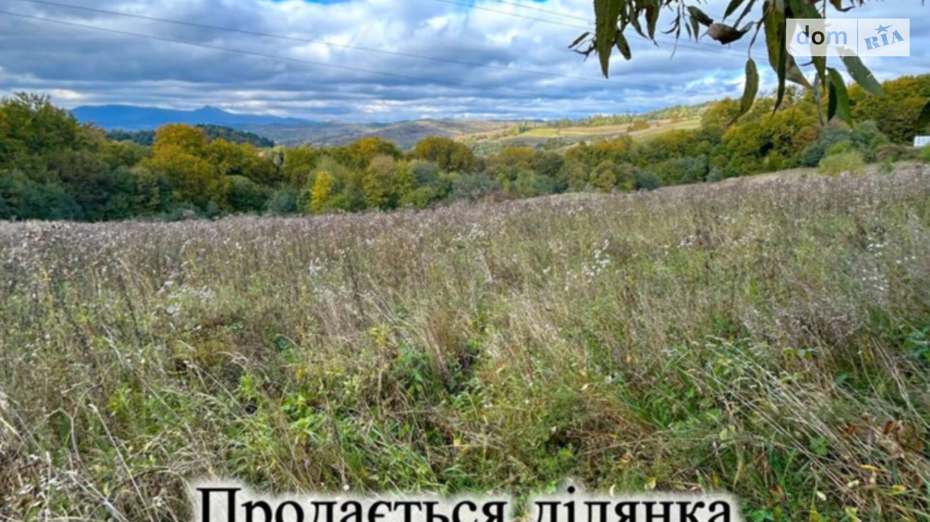 Воловецький перевал Воловець, цена: 18000 $ - фото 3