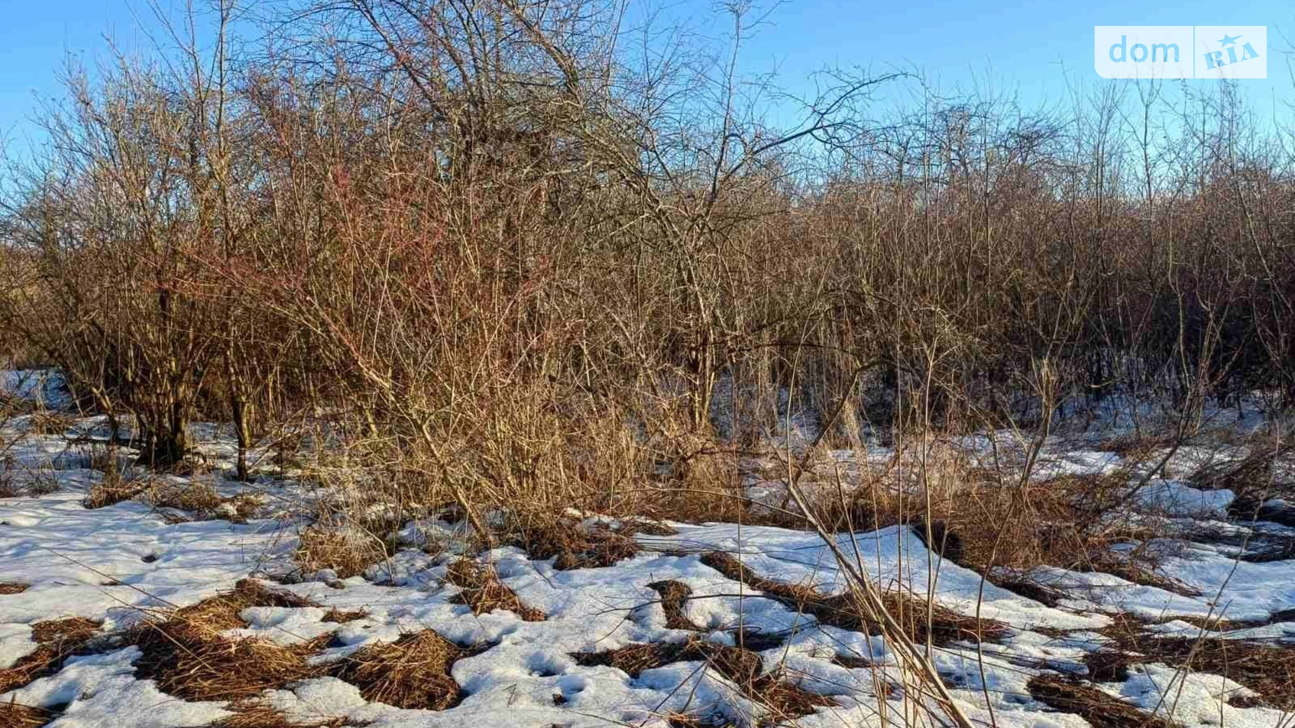 Сдается в аренду земельный участок 4.7487 соток в Львовской области, цена: 25829 грн - фото 2