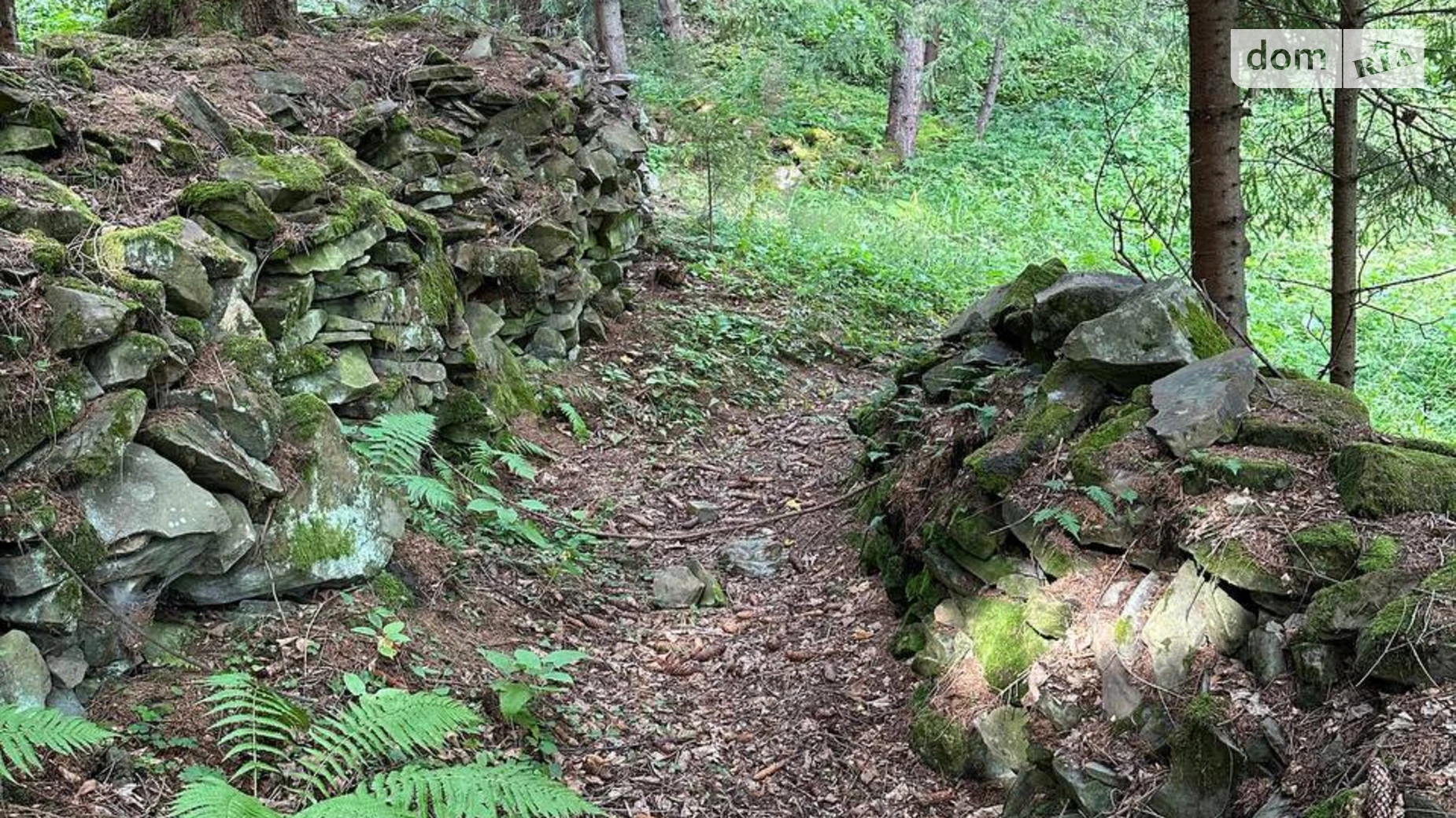 Верхний Ясенов, цена: 189000 $ - фото 4