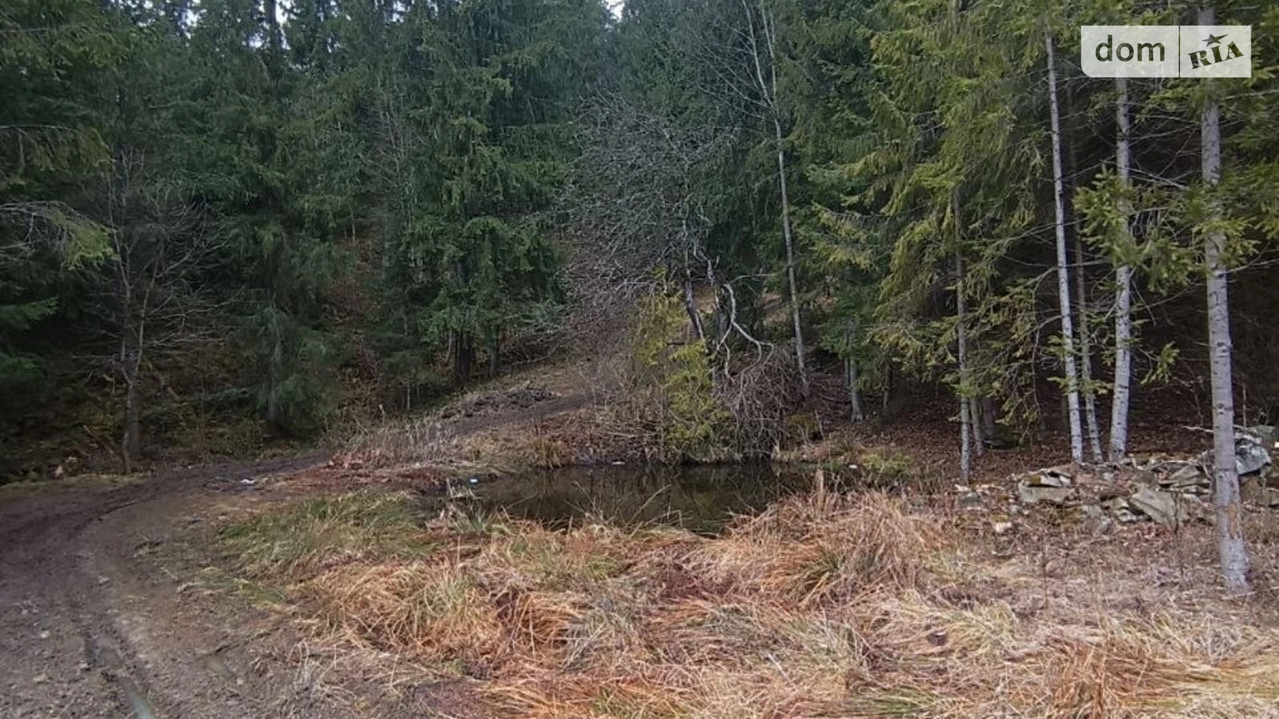 Верхний Ясенов, цена: 189000 $ - фото 5