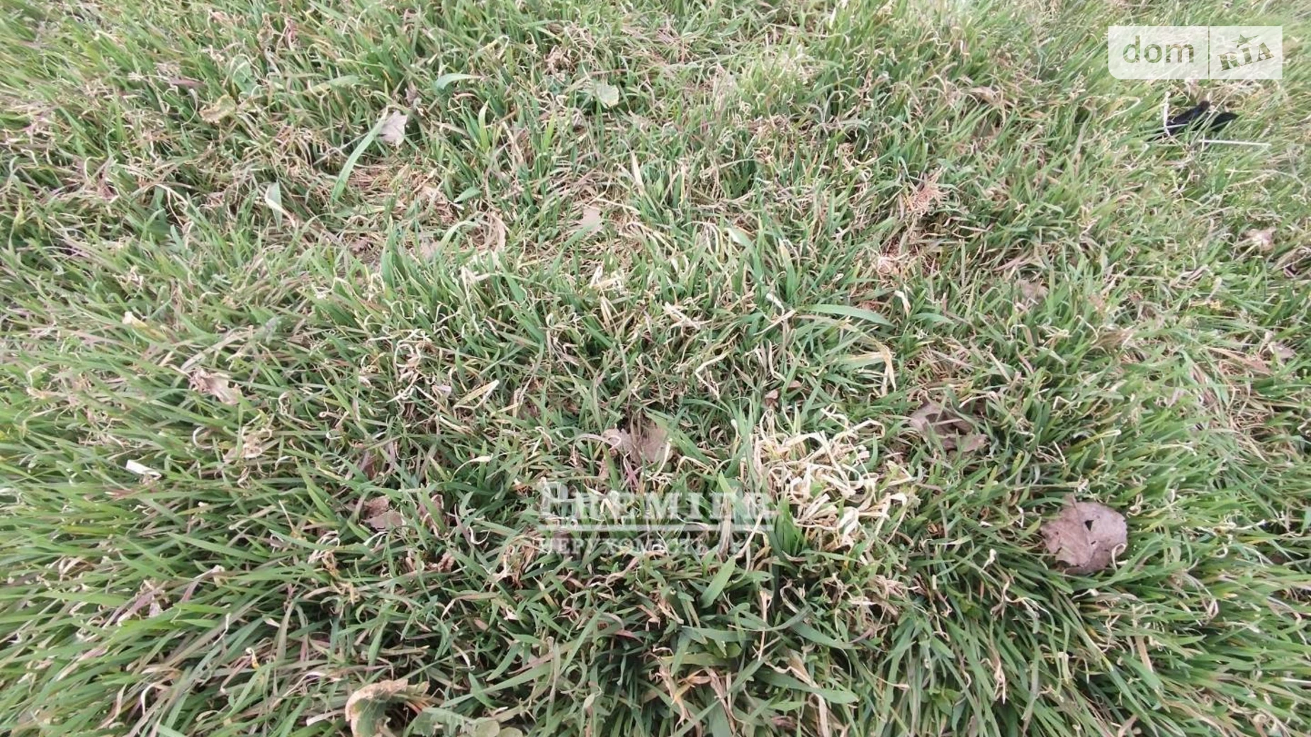 Продается земельный участок 5 соток в Одесской области, цена: 35000 $ - фото 3