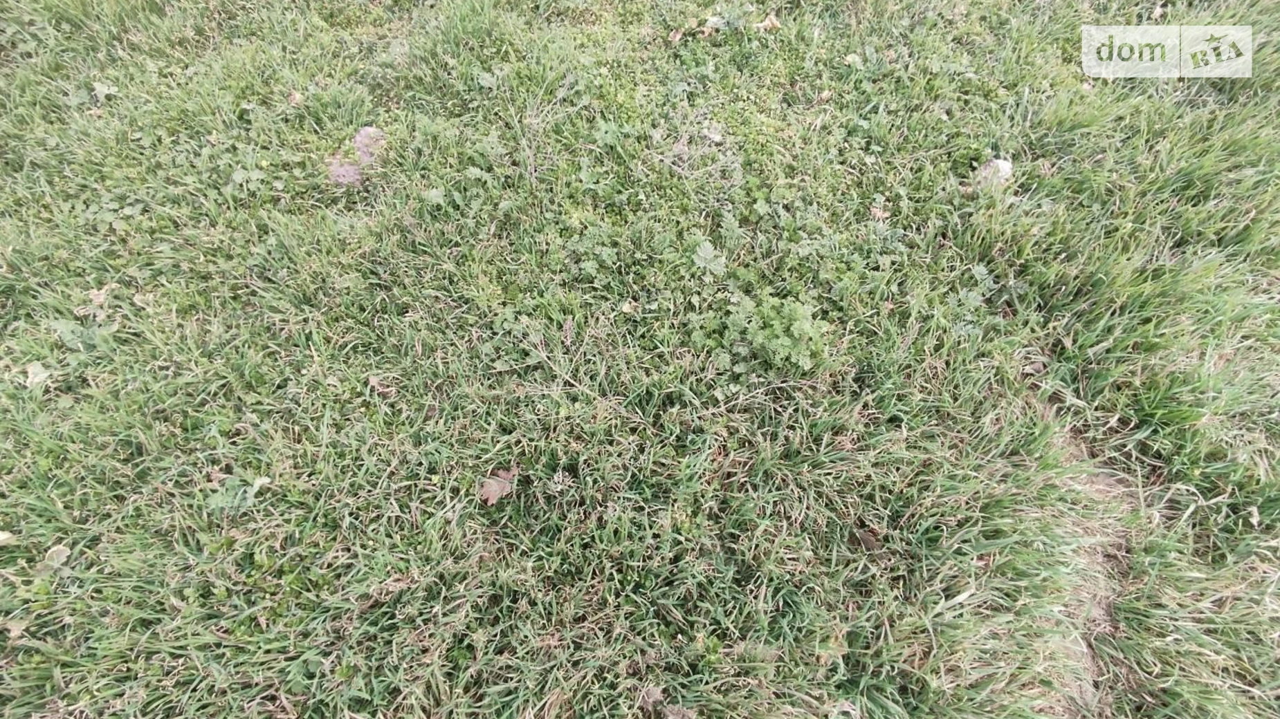 Продается земельный участок 5 соток в Одесской области, цена: 35000 $ - фото 2