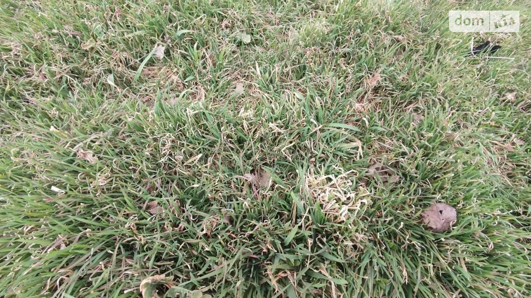 Продается земельный участок 5 соток в Одесской области, цена: 35000 $ - фото 3