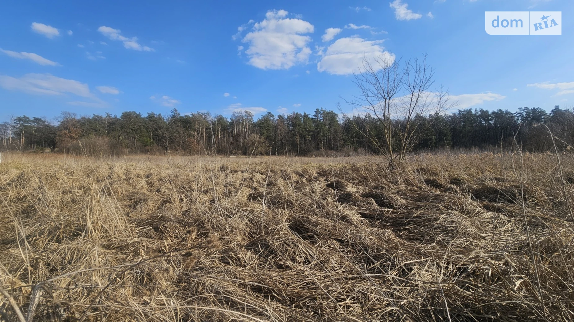 Продается земельный участок 12 соток в Киевской области, цена: 56000 $ - фото 3