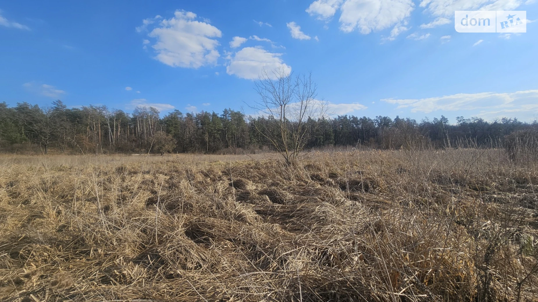 Продается земельный участок 12 соток в Киевской области, цена: 56000 $ - фото 2