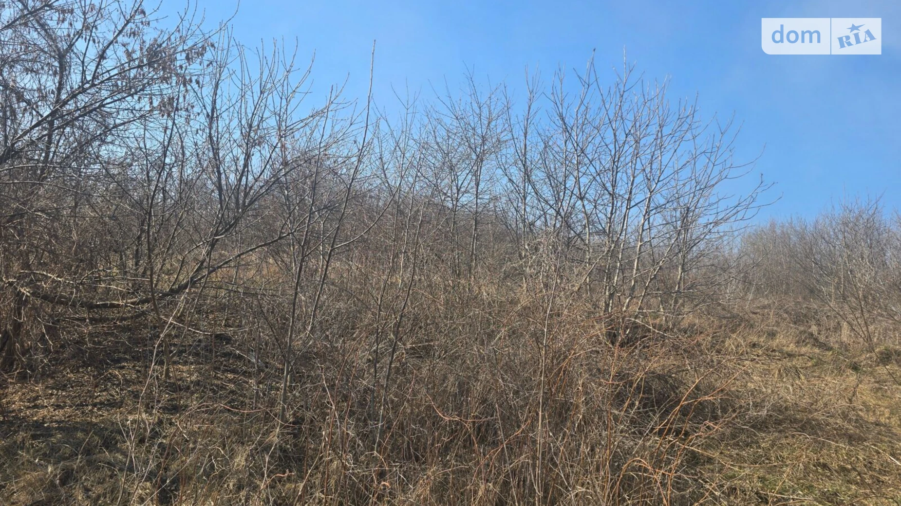 Продается земельный участок 1.3136 соток в  области, цена: 7224800 грн - фото 2