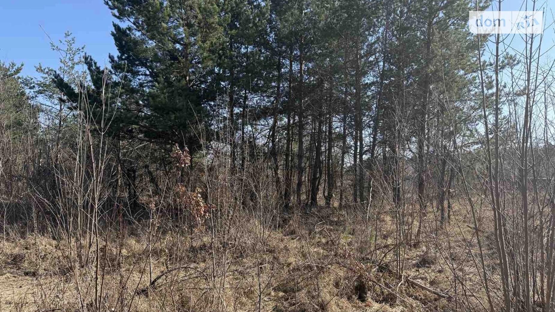 Продается земельный участок 100 соток в Киевской области, цена: 140000 $ - фото 4