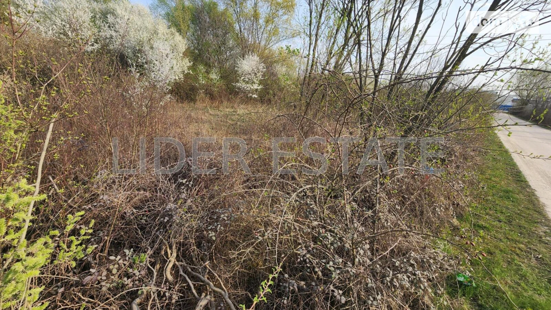 Продается земельный участок 45 соток в Закарпатской области, цена: 85500 $ - фото 3