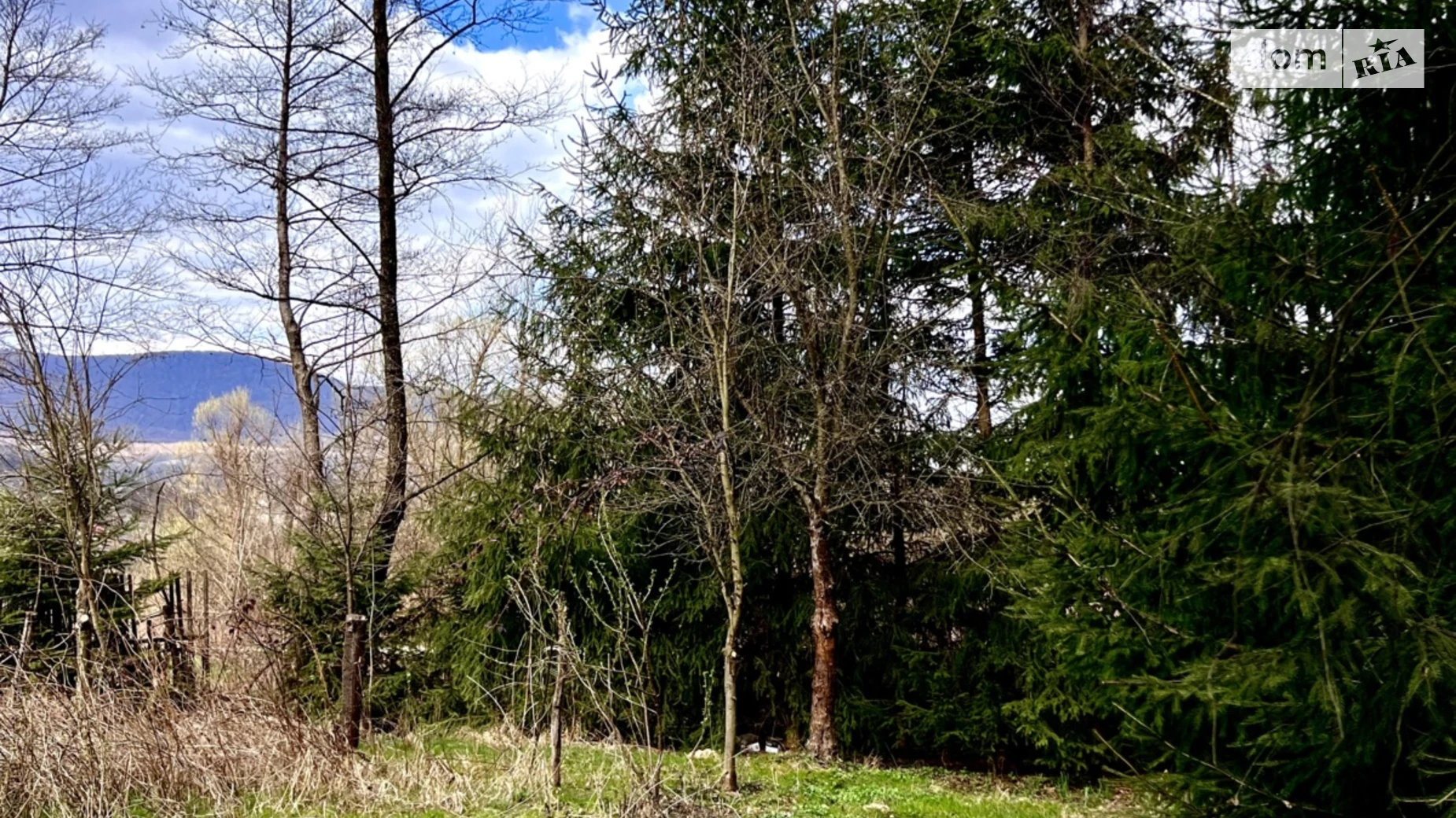 Пасека, цена: 19000 $ - фото 3