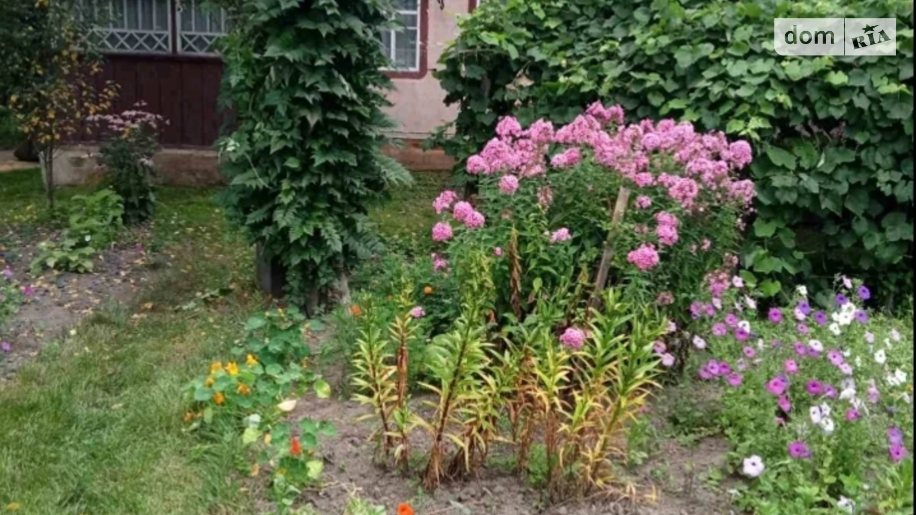 Продается одноэтажный дом 50 кв. м с камином, цена: 10000 $ - фото 2