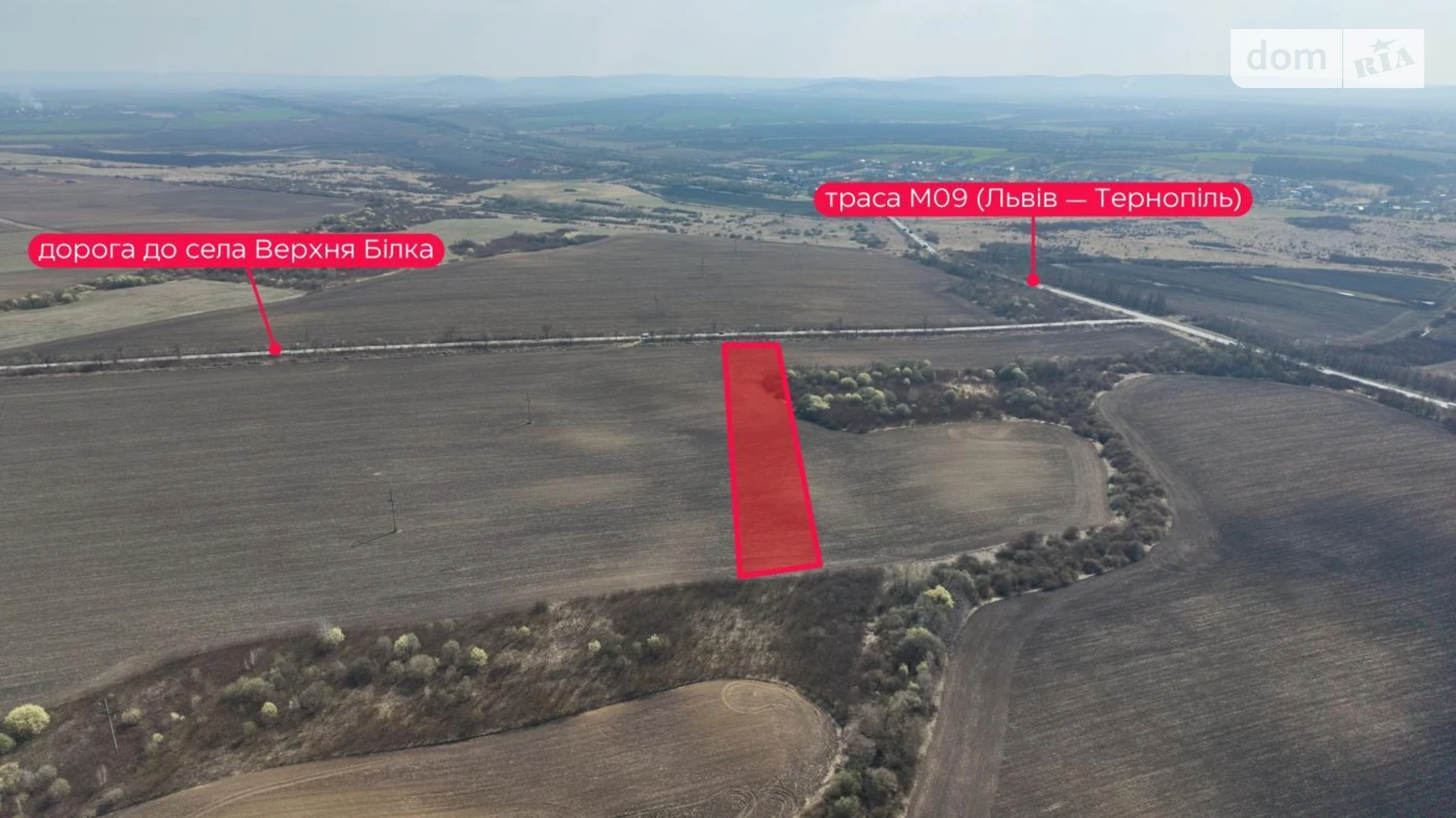 Чижиков, цена: 61000 $ - фото 5