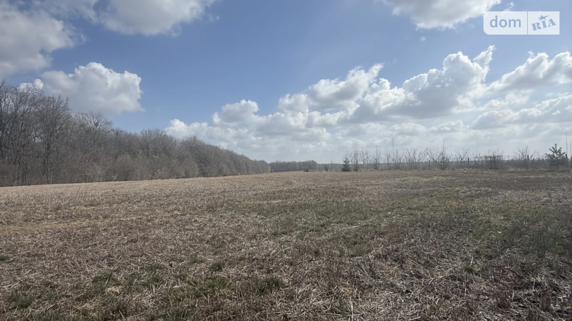 ул. Кольцевая Зарванцы, цена: 231000 $ - фото 3