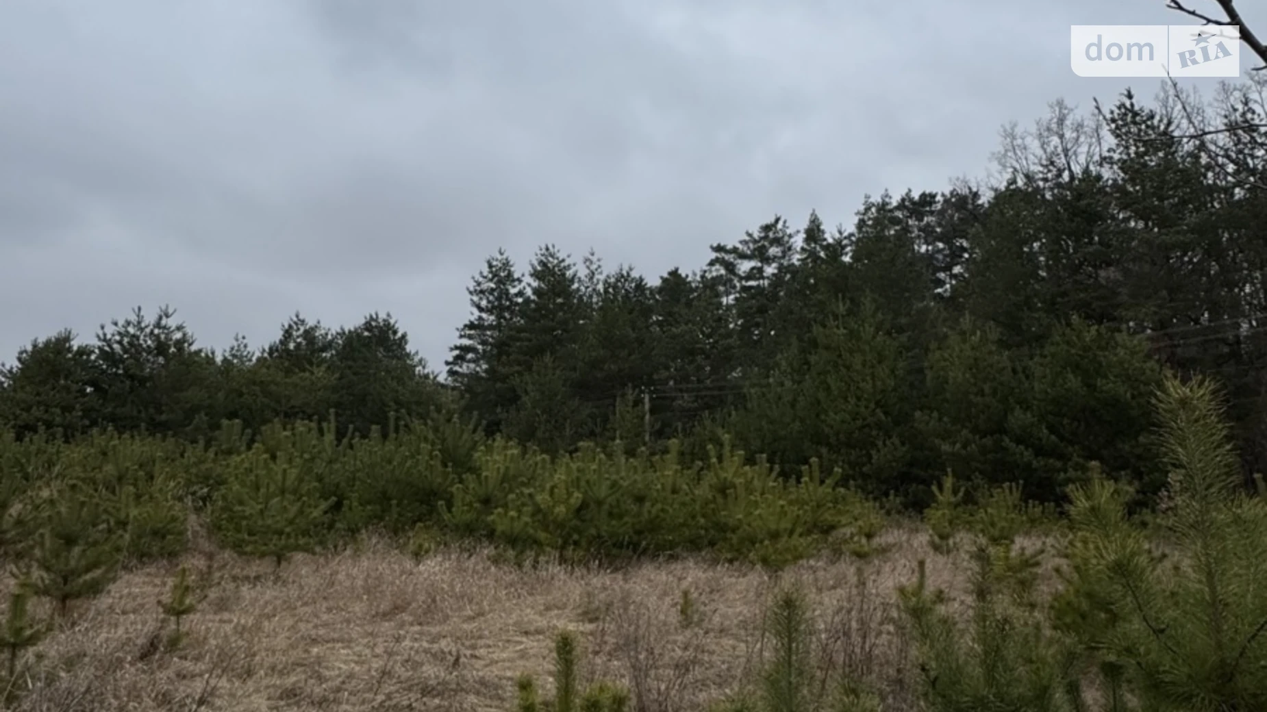 ул. Молодёжная Юзвин, цена: 30000 $ - фото 5