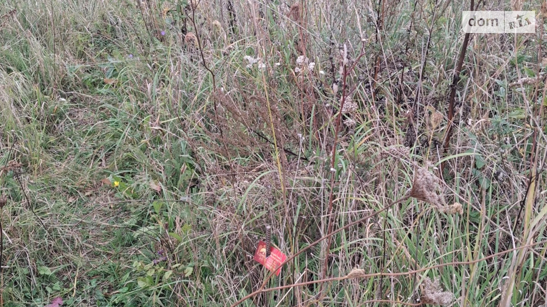 Великие Бирки, цена: 5000 $ - фото 2