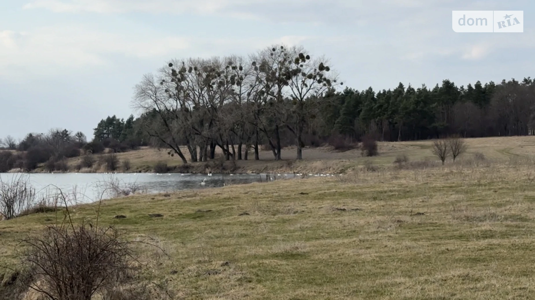 Продается земельный участок 8 соток в Хмельницкой области, цена: 3400 $ - фото 3