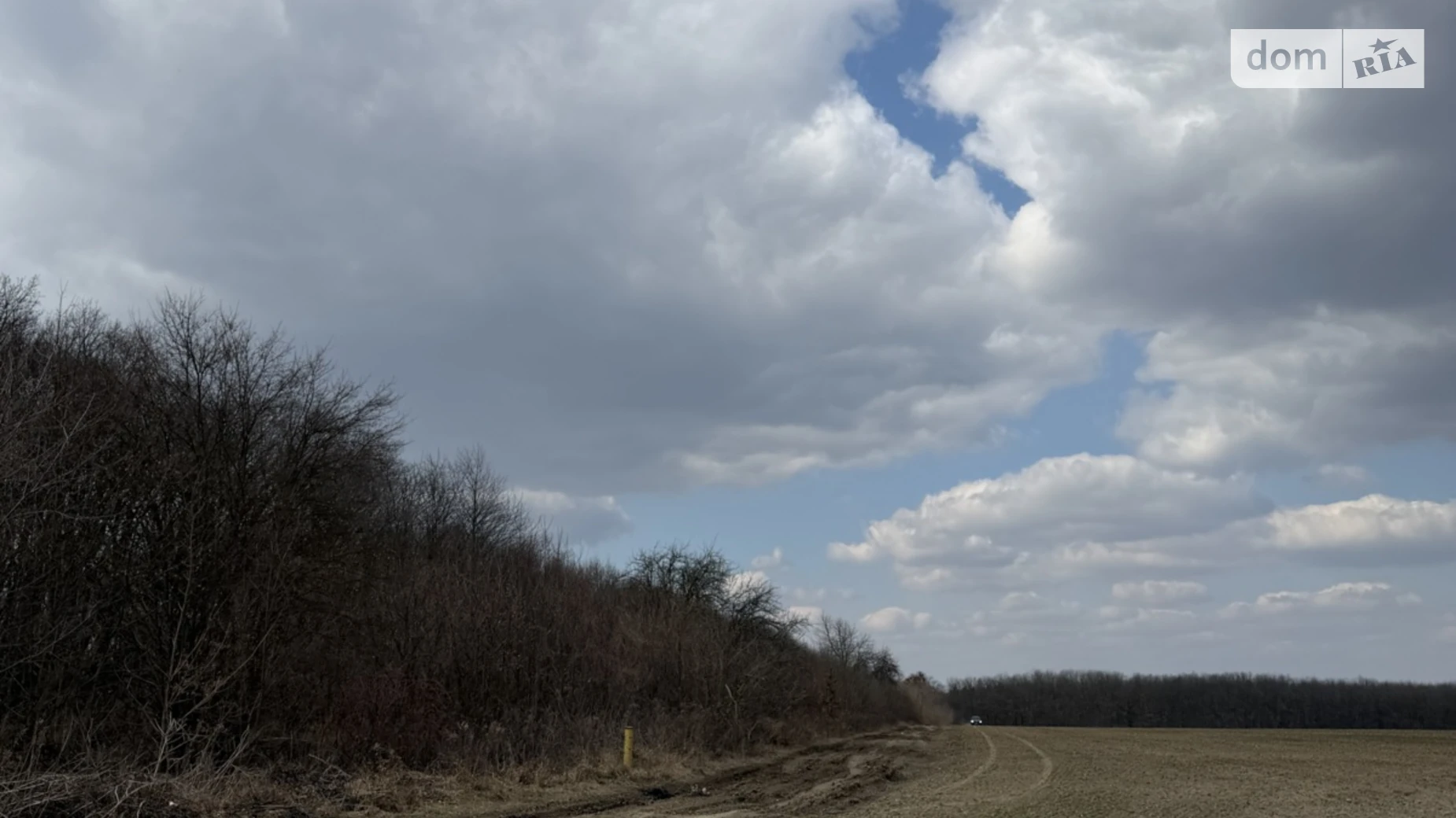 Зарванцы, цена: 95000 $ - фото 3