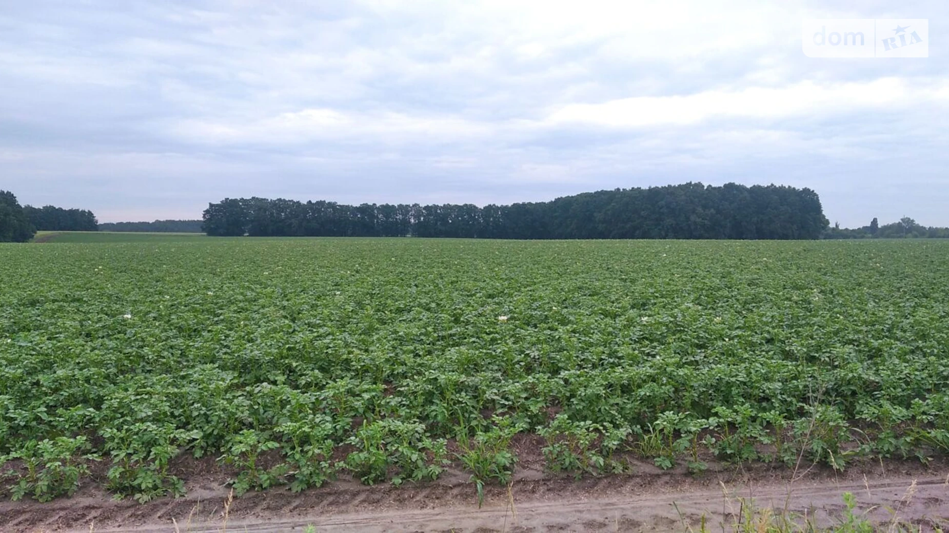 Продается земельный участок 2.0937 соток в Киевской области, цена: 635200 грн - фото 2