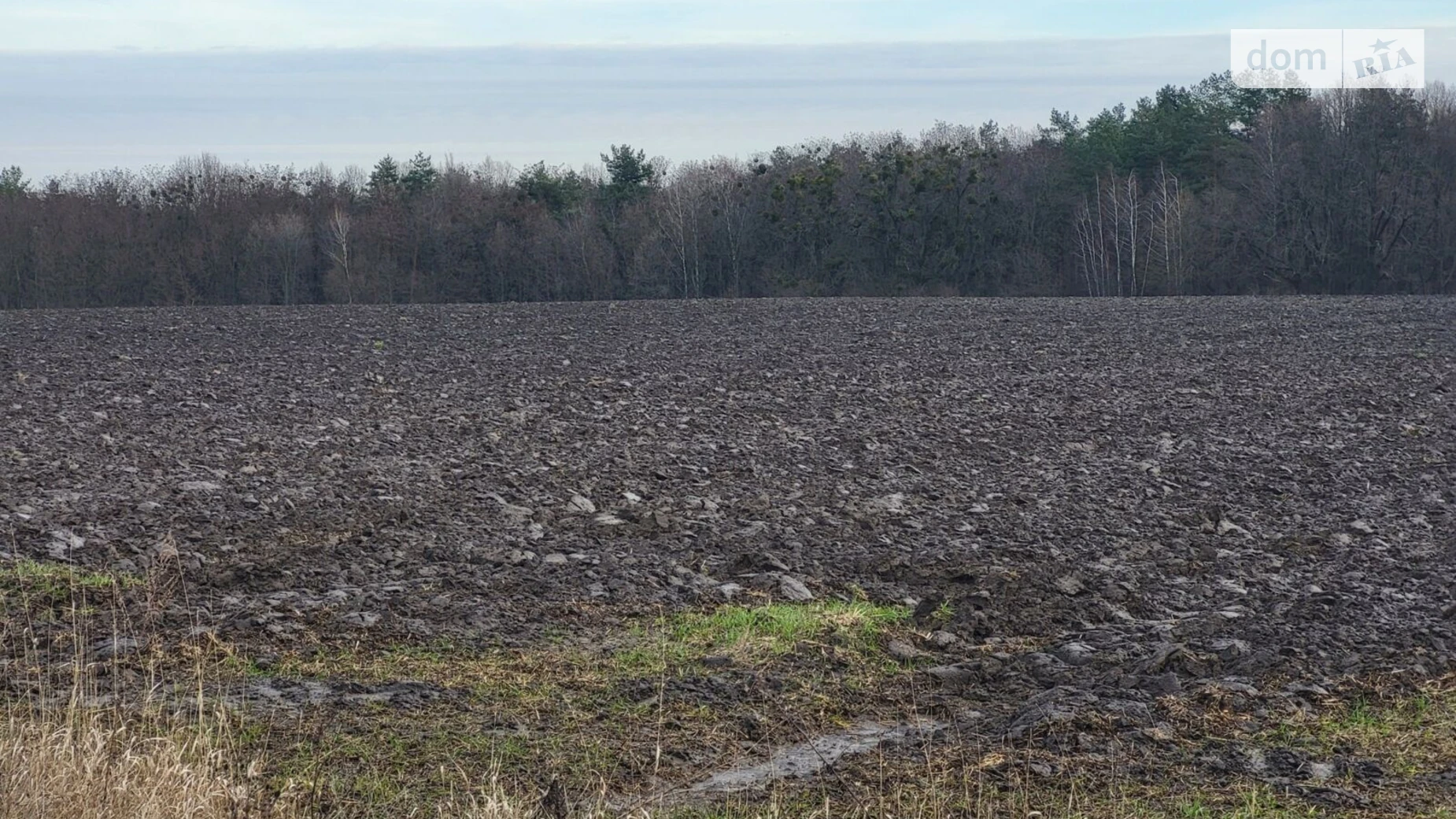 Продается земельный участок 2.0937 соток в Киевской области, цена: 635200 грн - фото 4