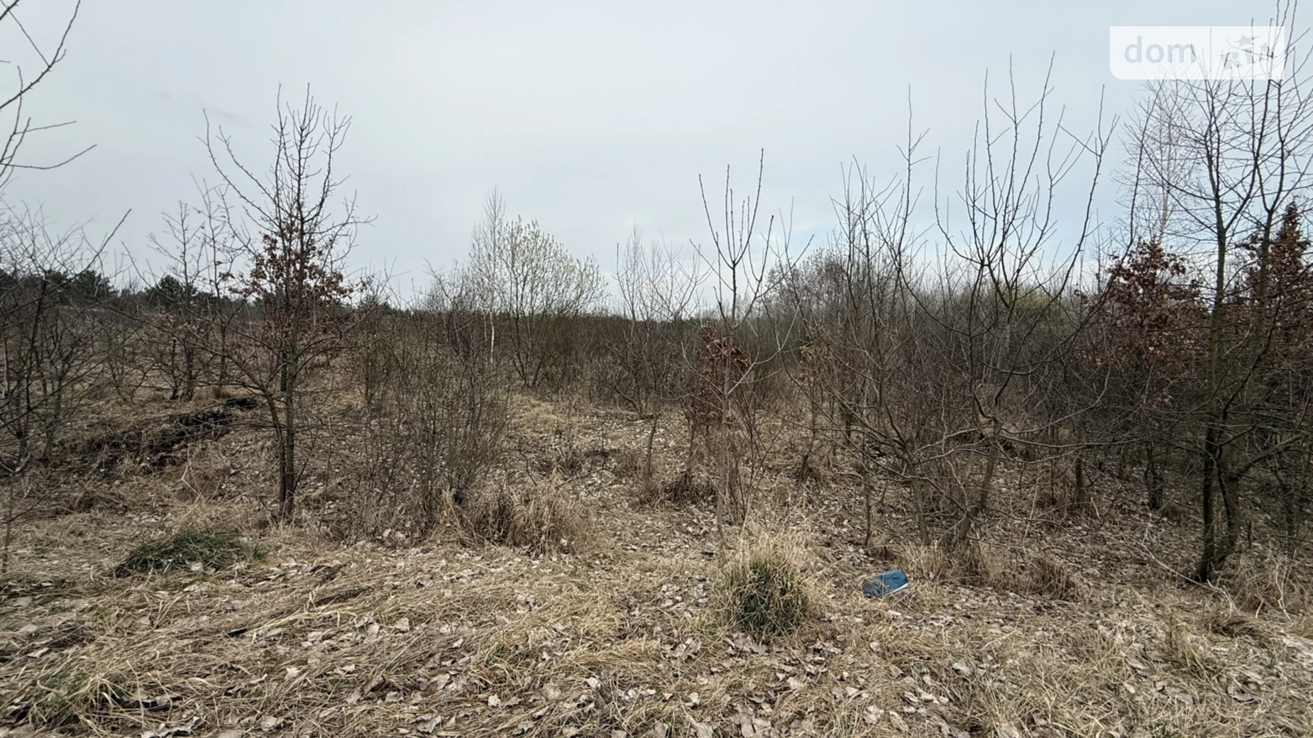 Сосонка, цена: 3500 $ - фото 2