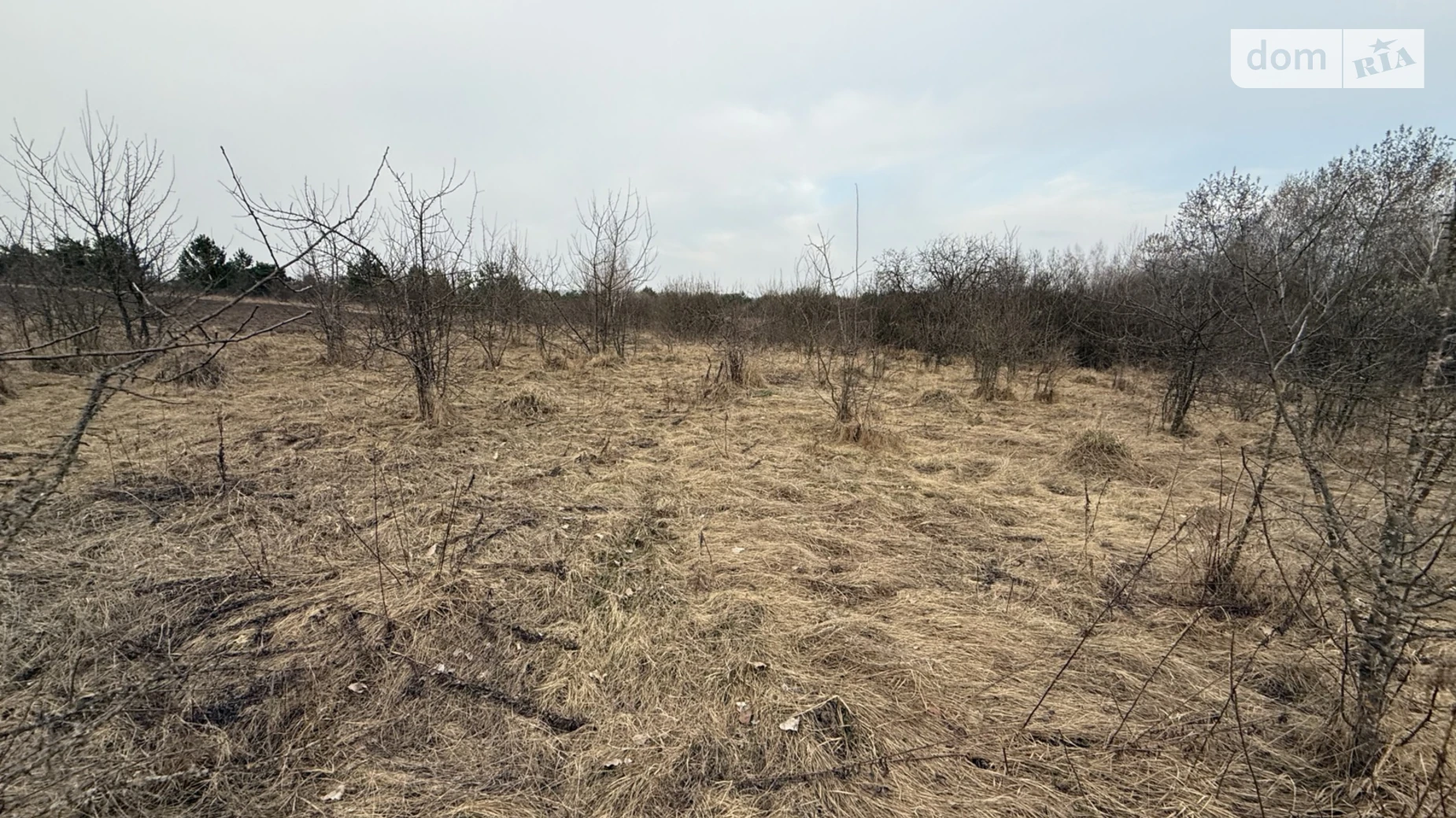 Сосонка, цена: 3500 $ - фото 3