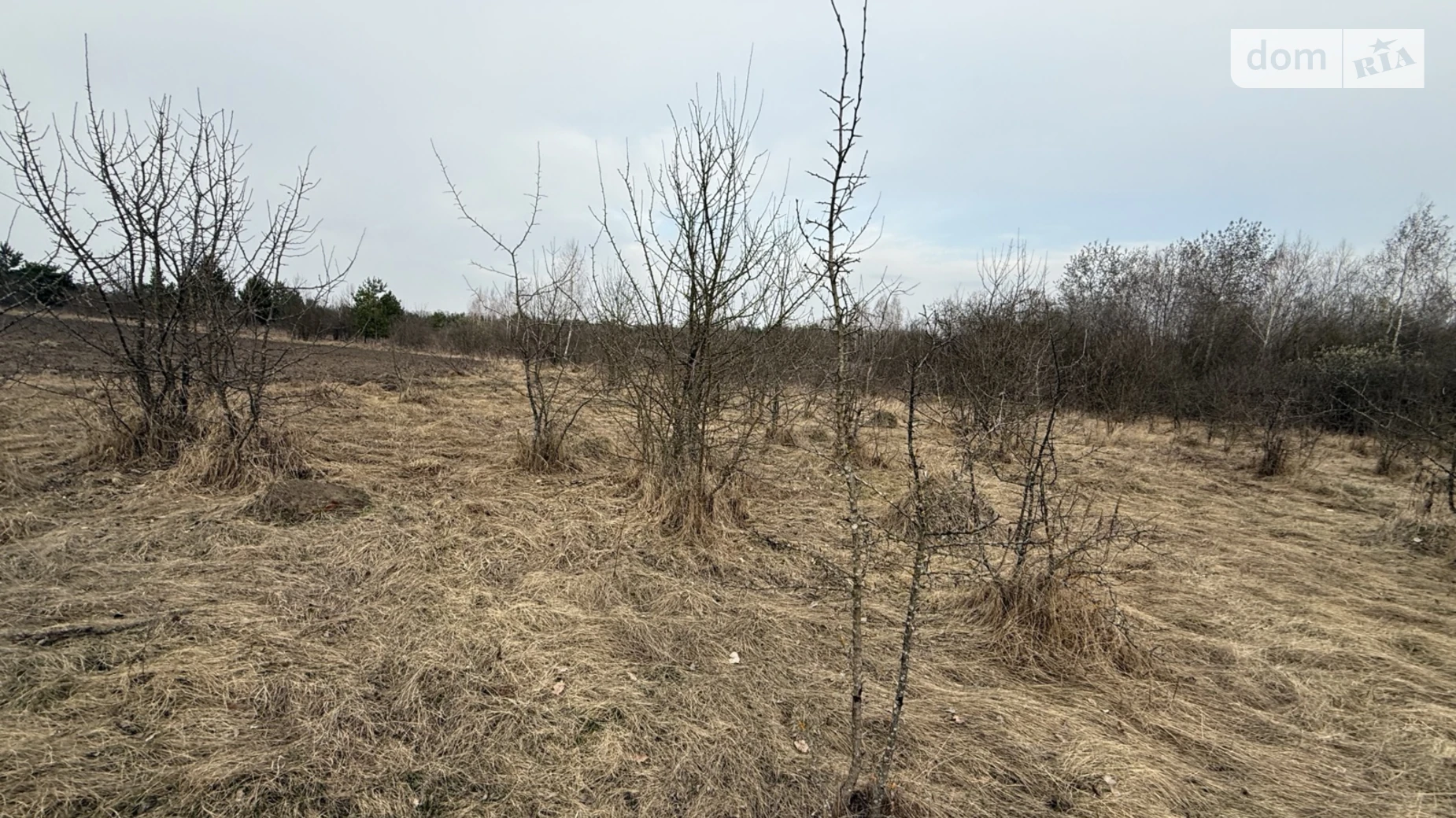 Сосонка, цена: 3500 $ - фото 4