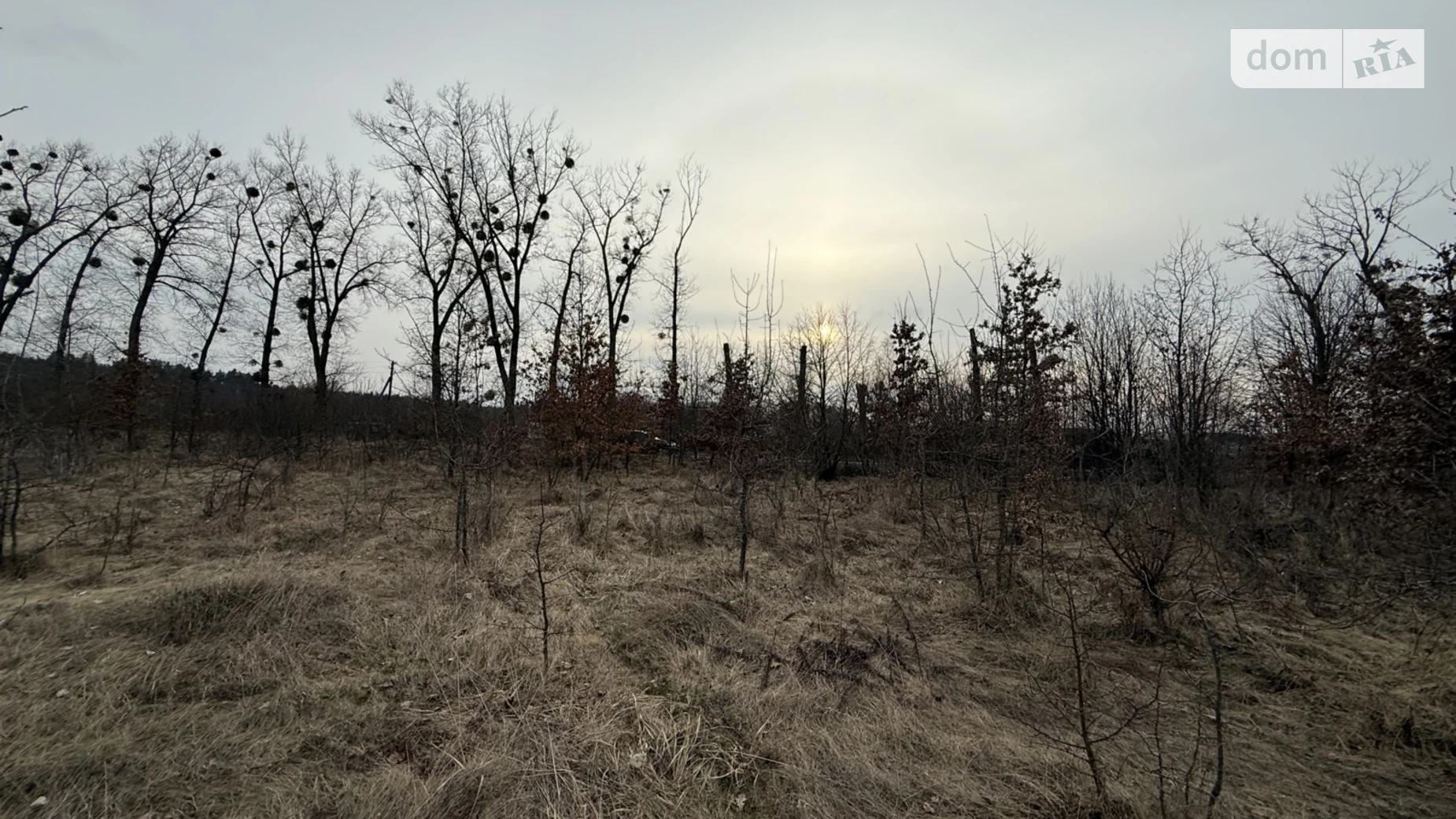 Сосонка, цена: 3500 $ - фото 5