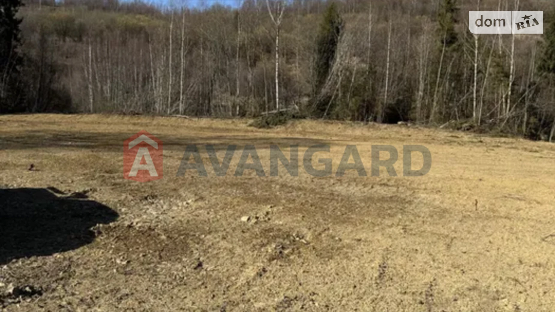 Продается земельный участок 125 соток в Львовской области, цена: 2900 $ - фото 2