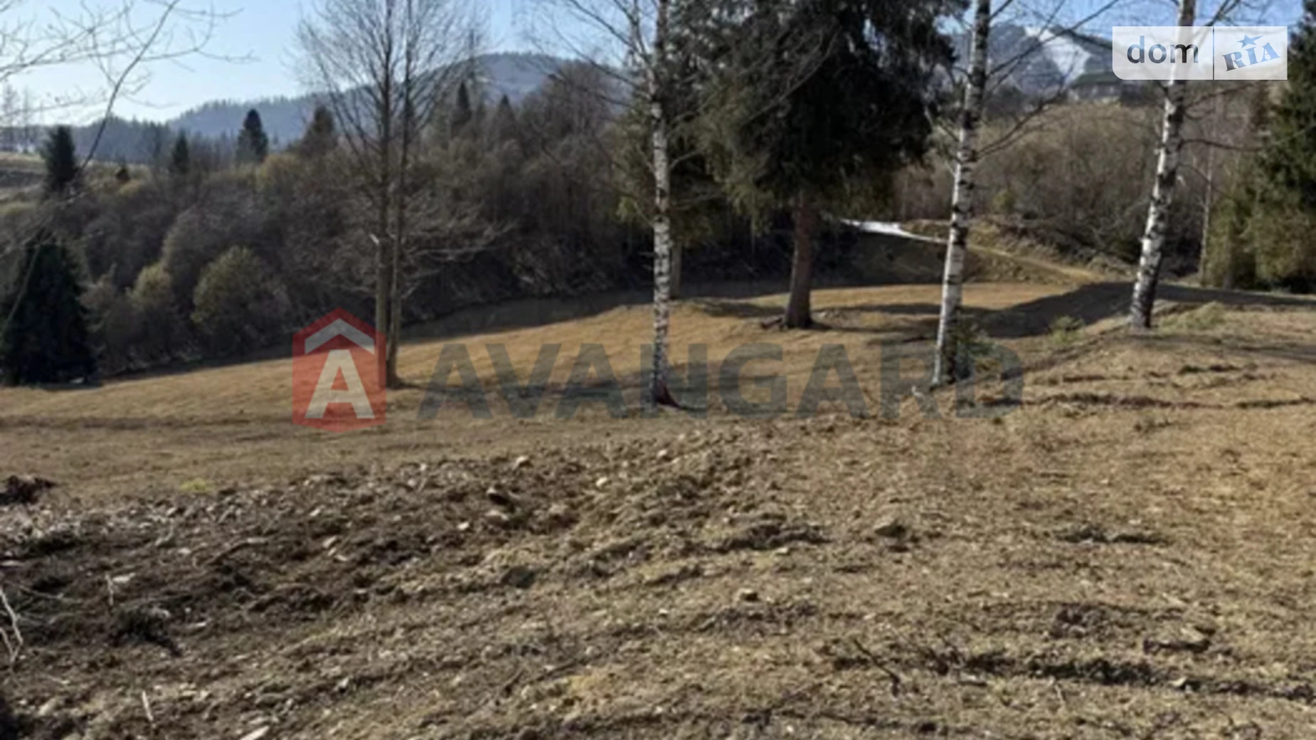 Продается земельный участок 125 соток в Львовской области, цена: 2900 $ - фото 4