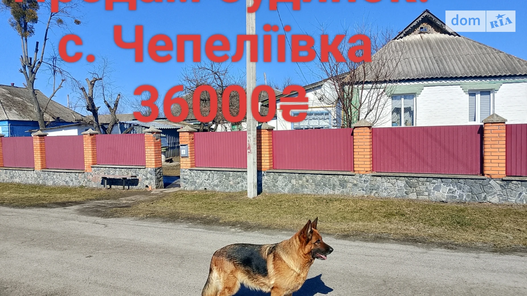 вул. Героїв України(Жовтнева) Чепиліївка, цена: 36000 $ - фото 5