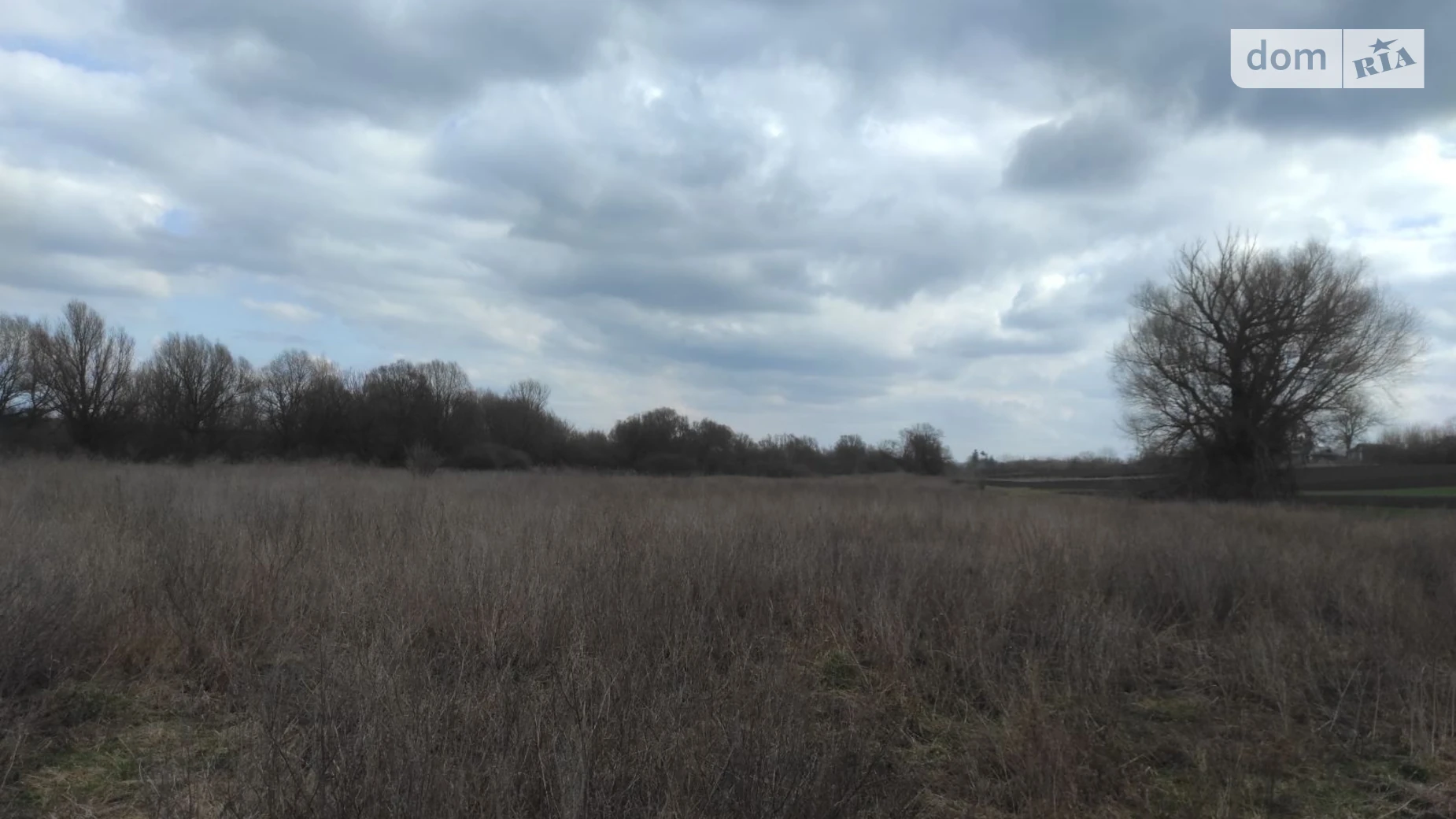 Полевые Гриневцы, цена: 11559 грн - фото 2