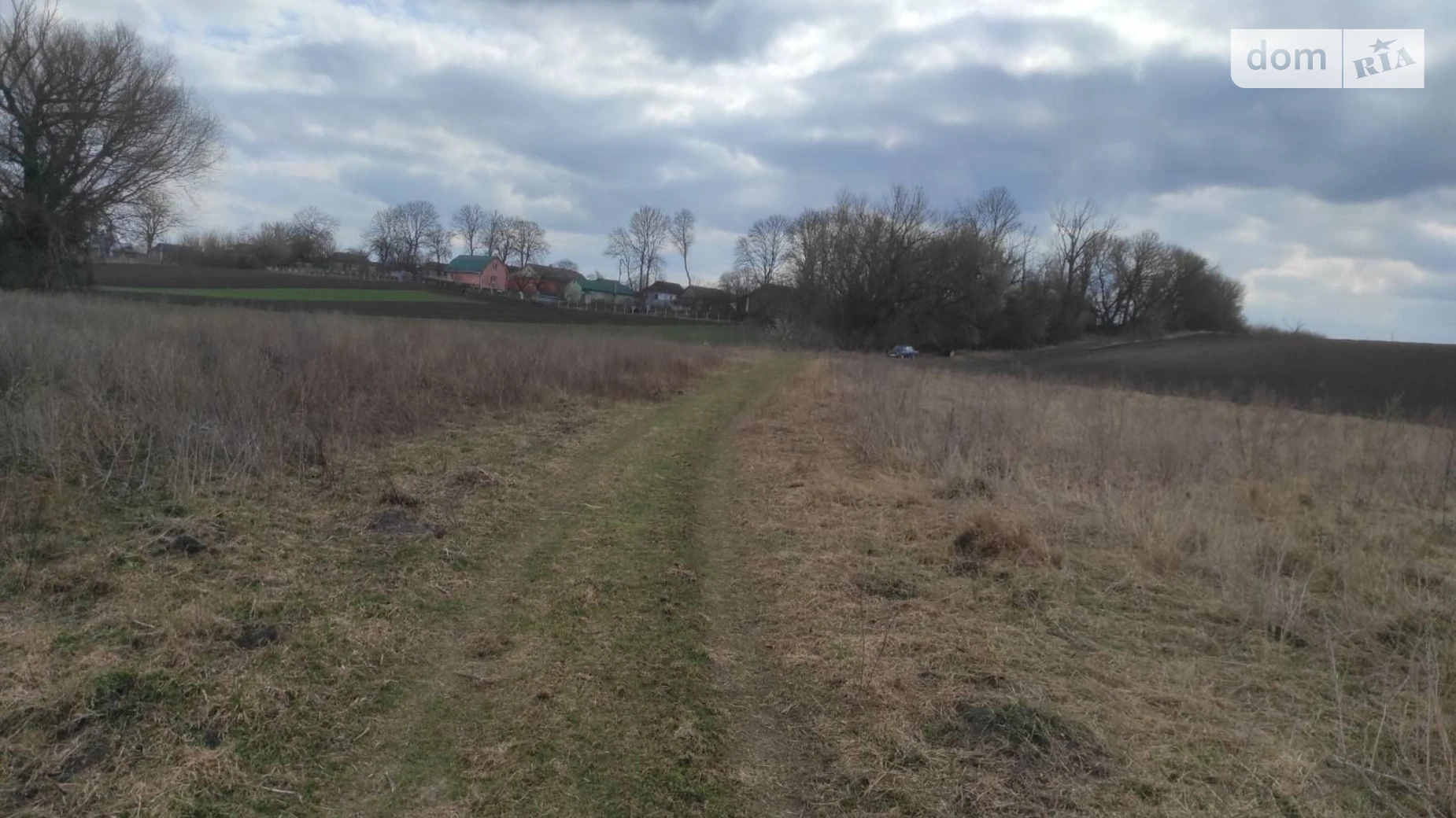 Полевые Гриневцы, цена: 11559 грн - фото 3
