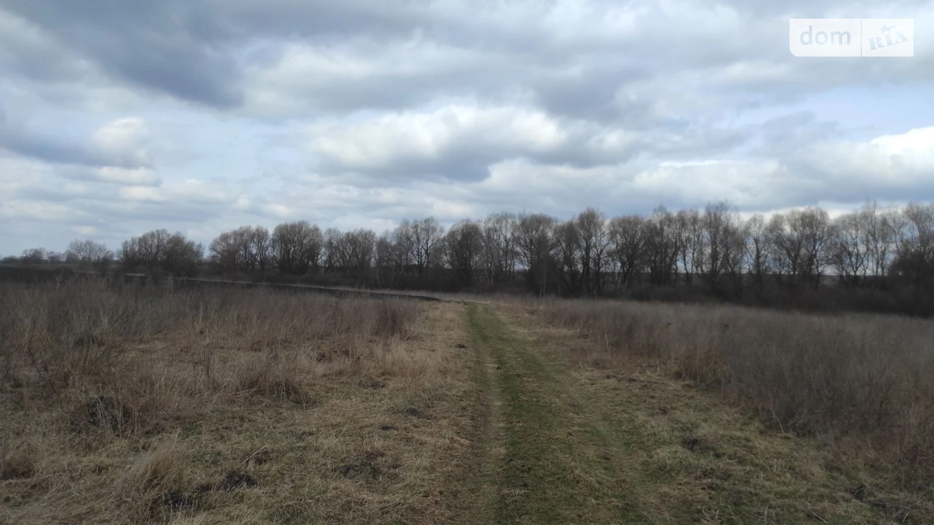 Полевые Гриневцы, цена: 11559 грн - фото 4