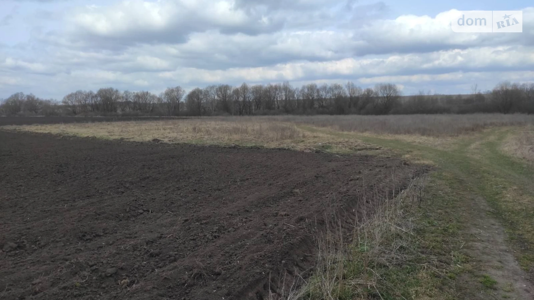 Полевые Гриневцы, цена: 11559 грн - фото 5