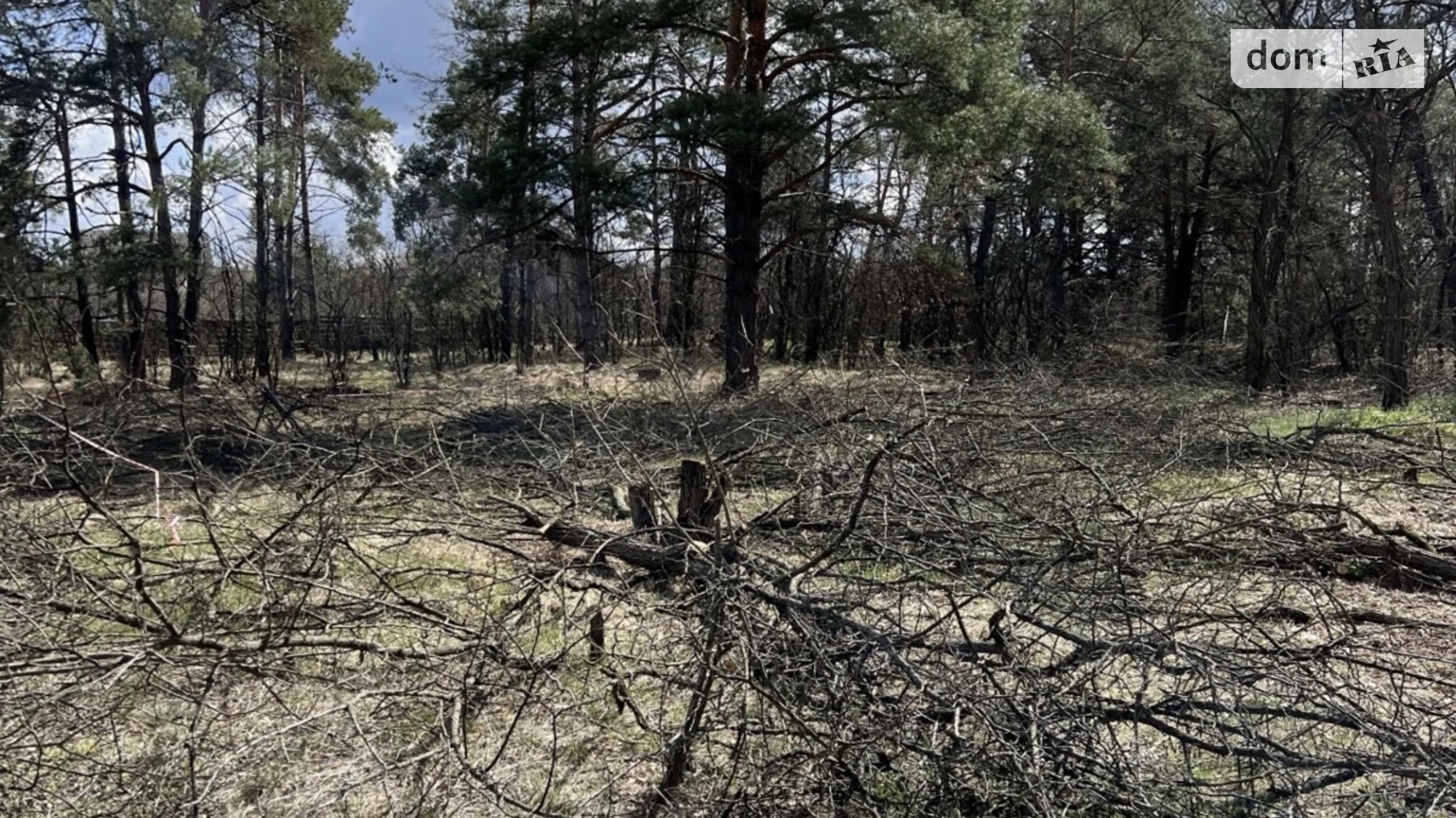 Продается земельный участок 14 соток в Киевской области, цена: 5500 $ - фото 2