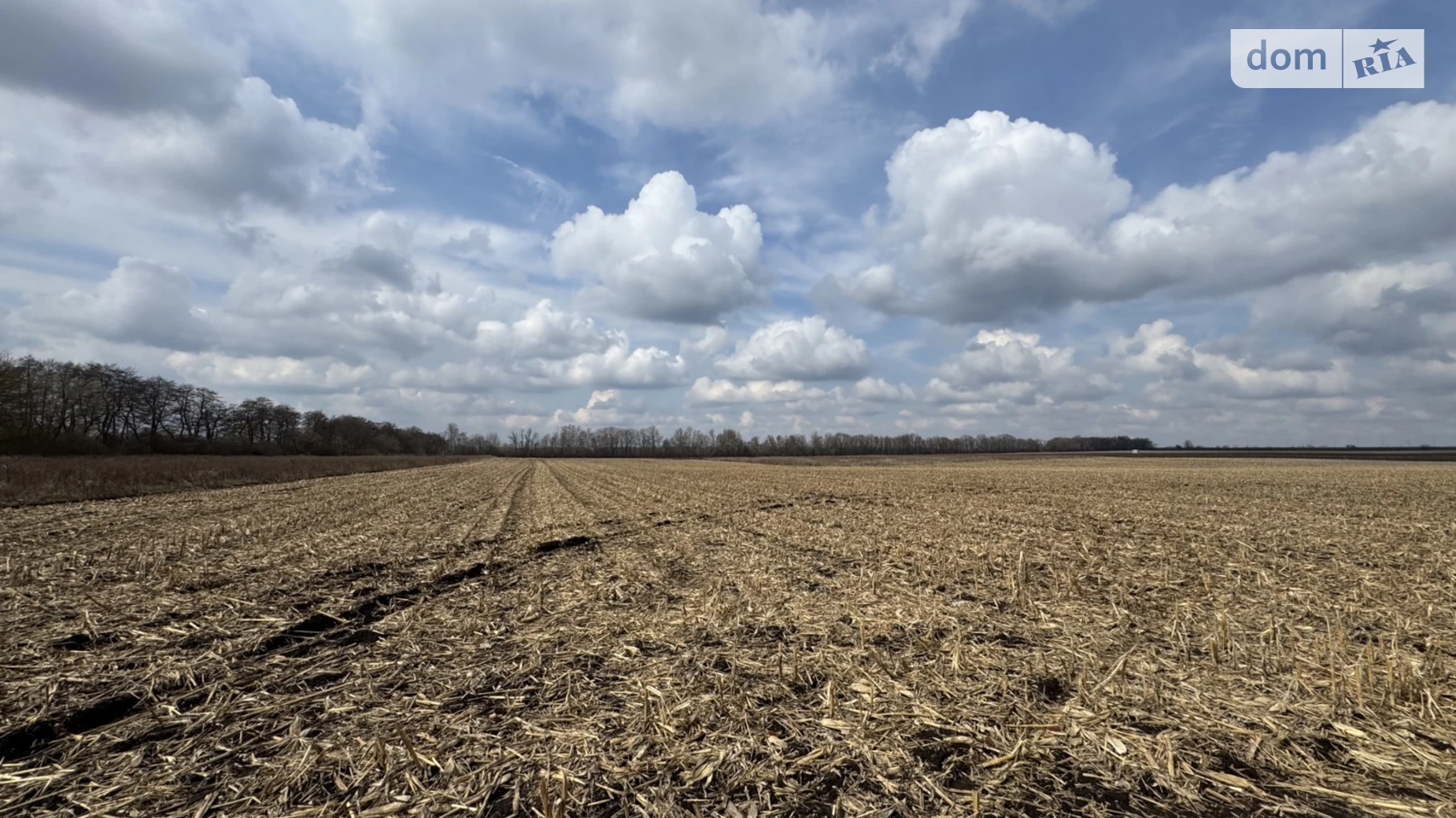ул. Черкасское шоссе Тяжилов Винница, цена: 90000 $ - фото 2