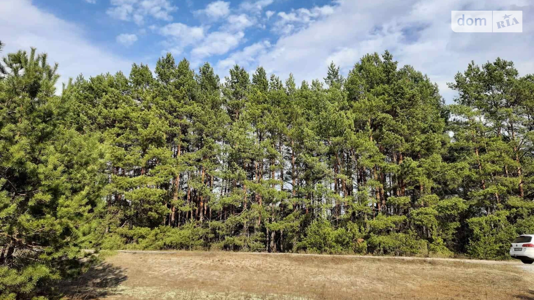 Продается земельный участок 50 соток в Киевской области, цена: 20000 $ - фото 3